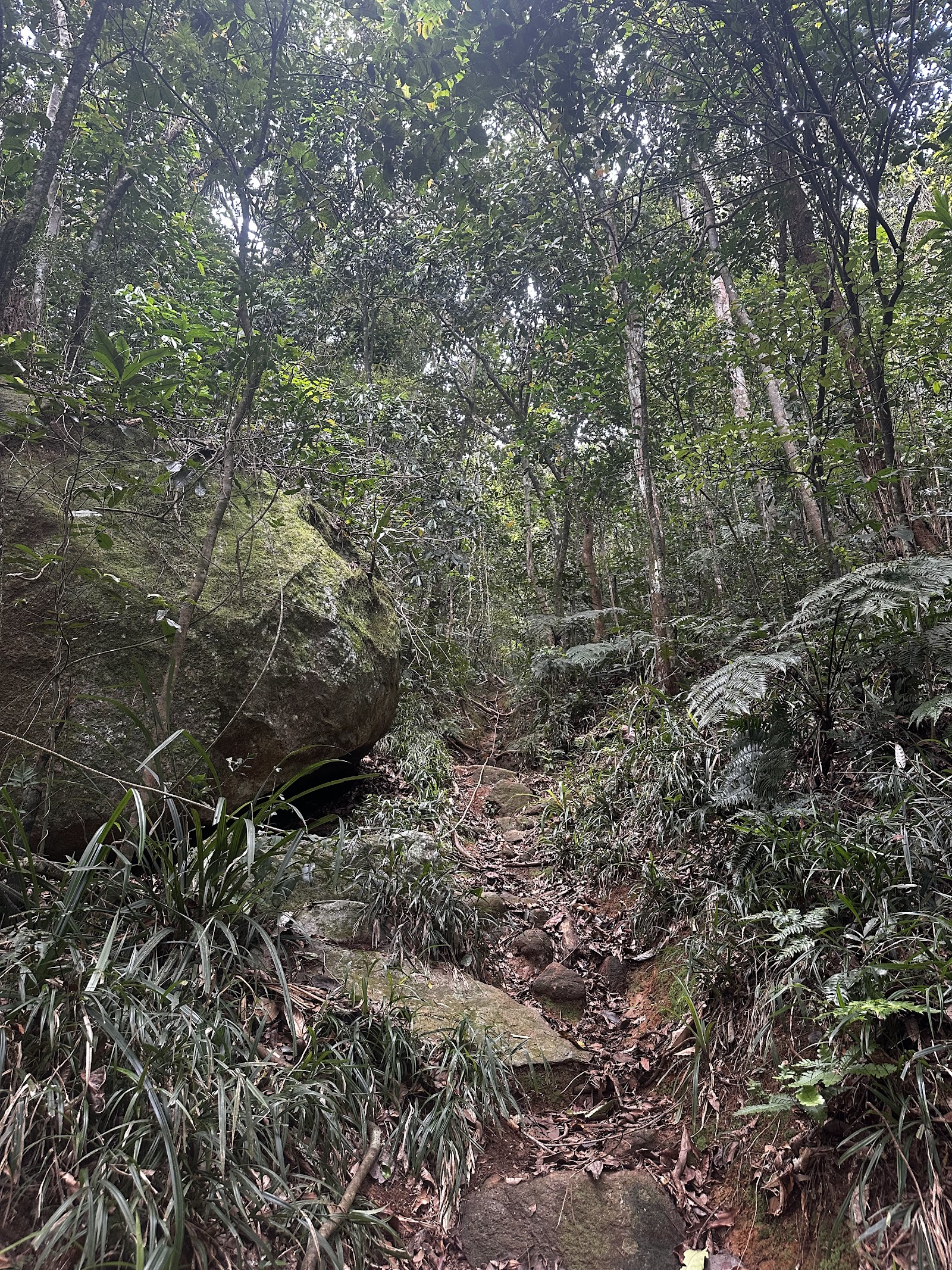 Pico do Urubu