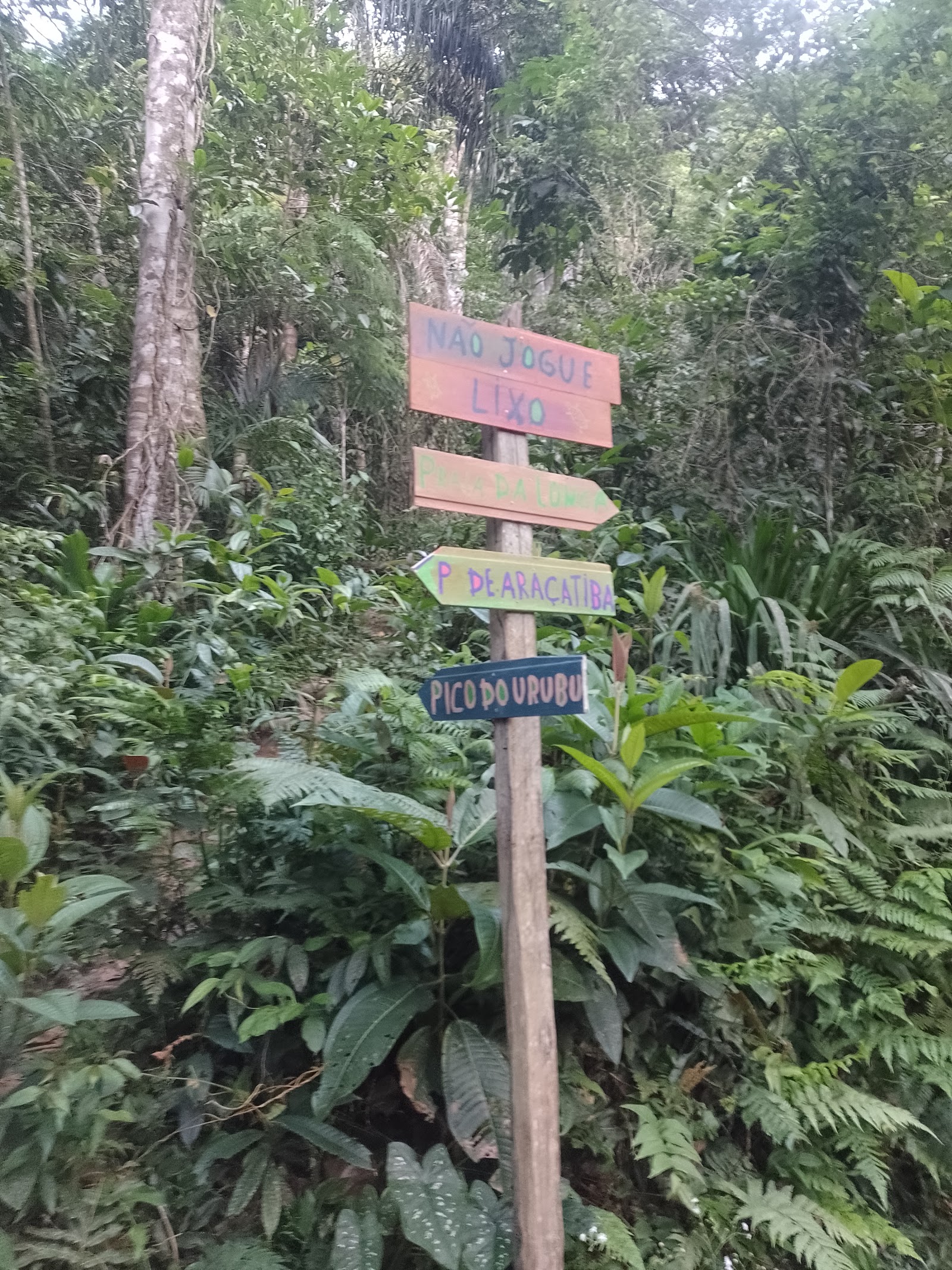 Pico do Urubu