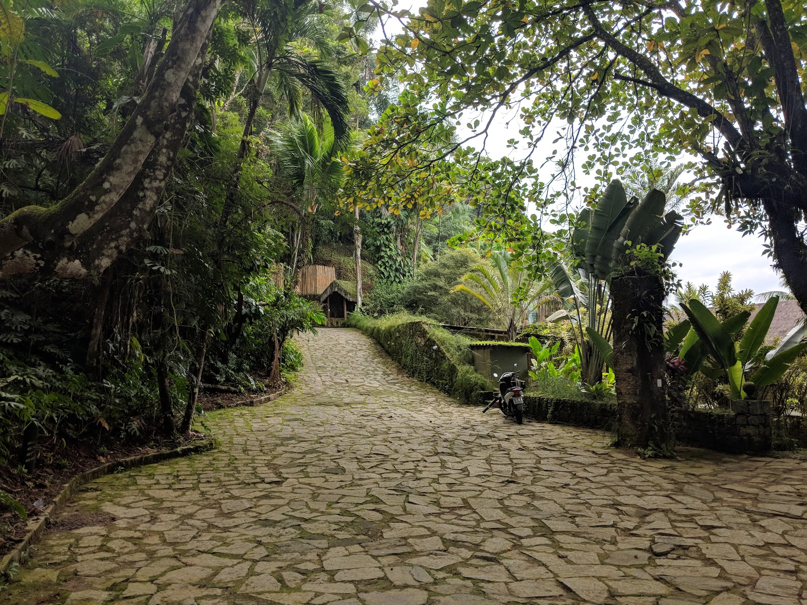 Mirante Da Guariba