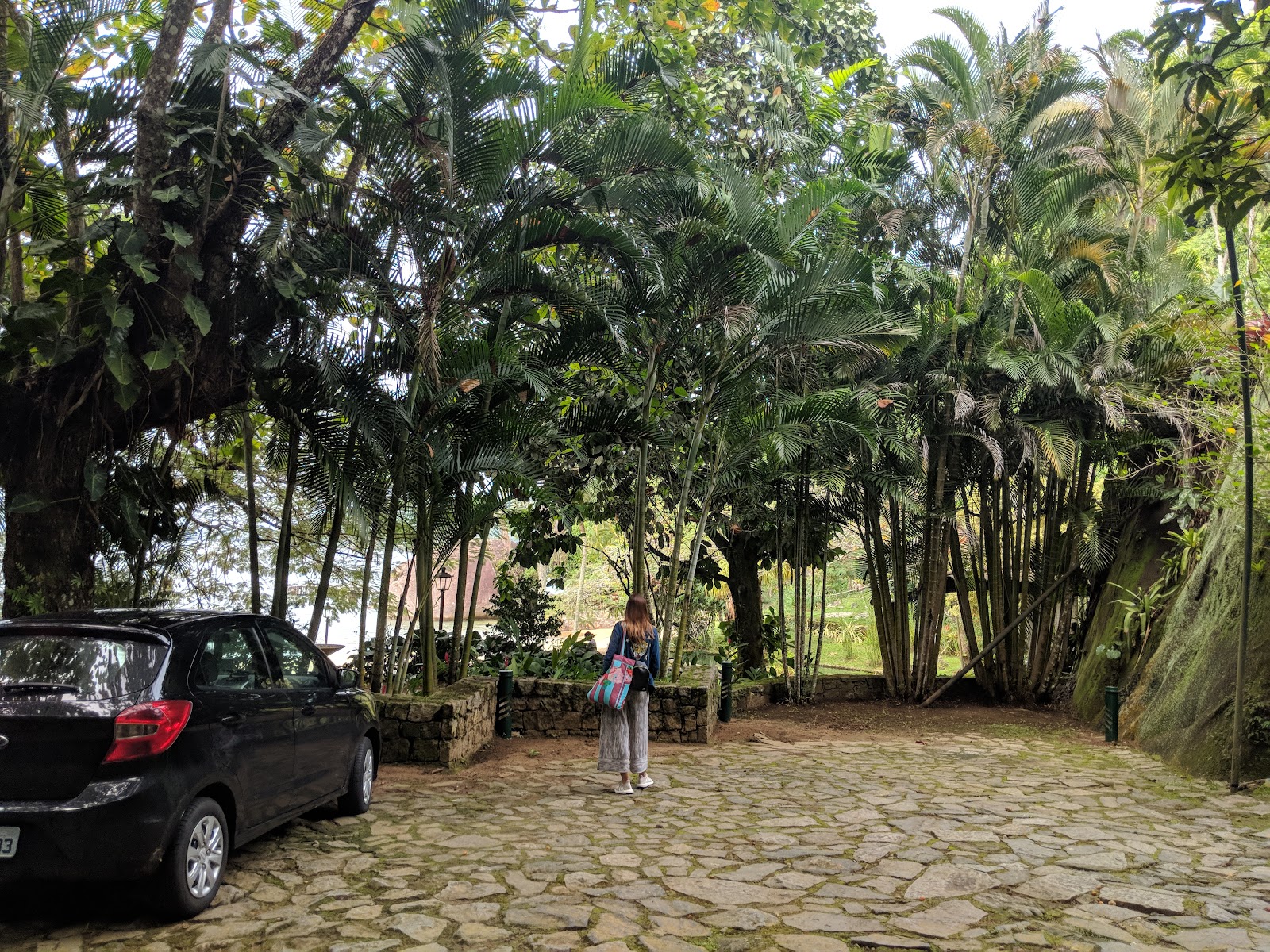 Mirante Da Guariba