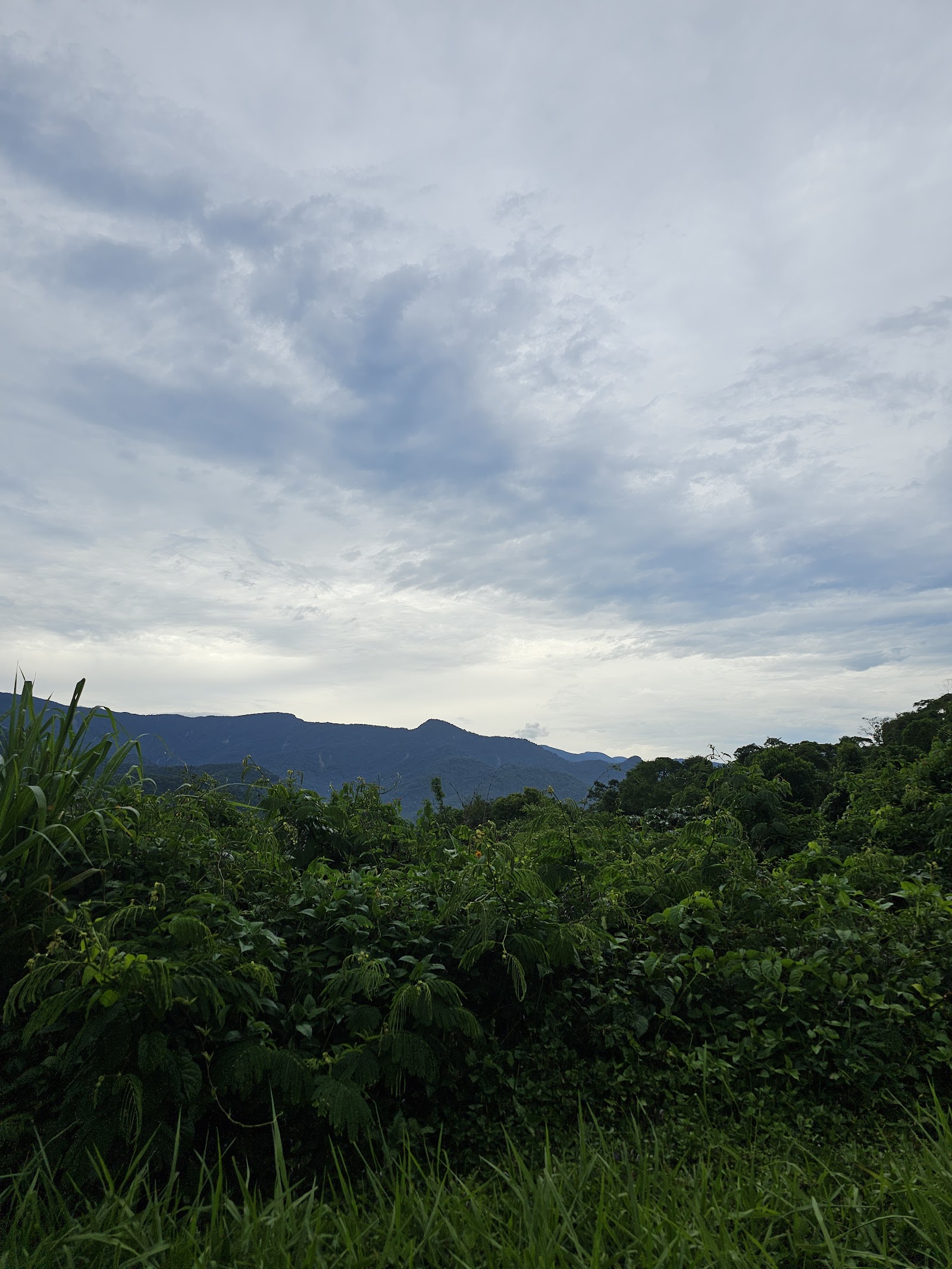 Mirante Da Guariba