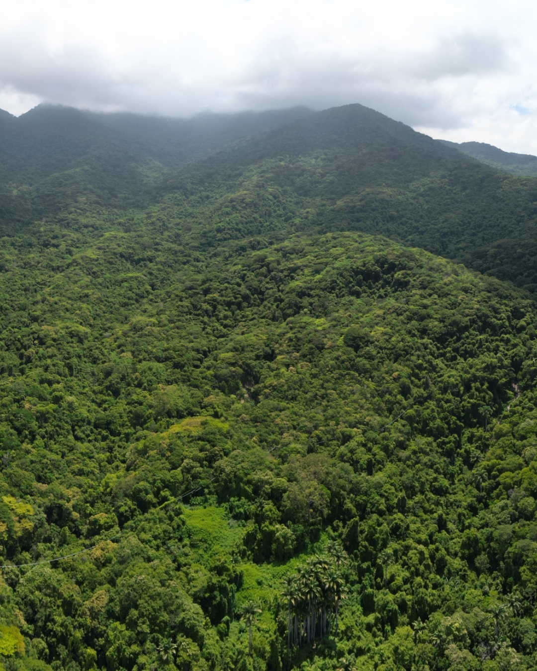 Ilha Grande Hiking