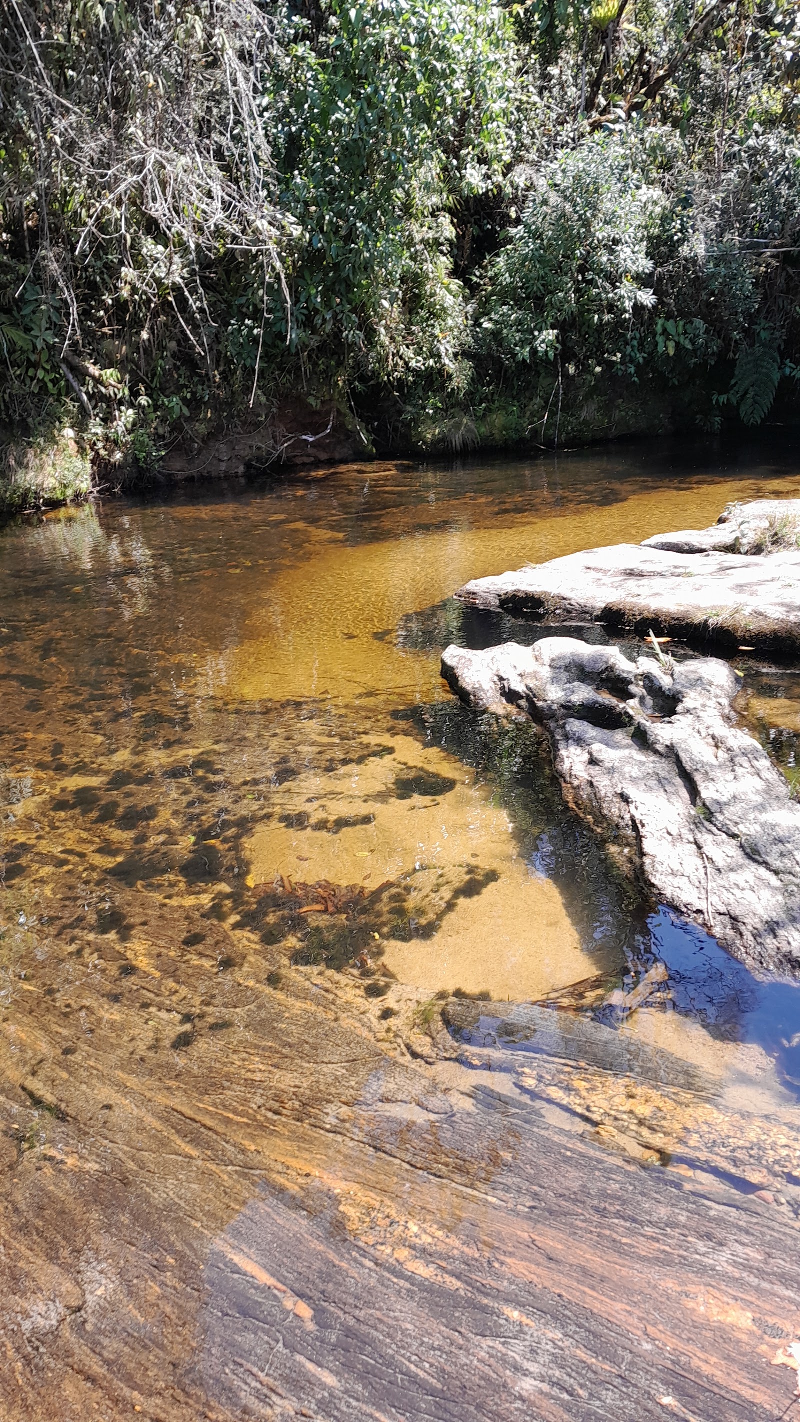Mirante da Cachoeira do Rio Mimoso