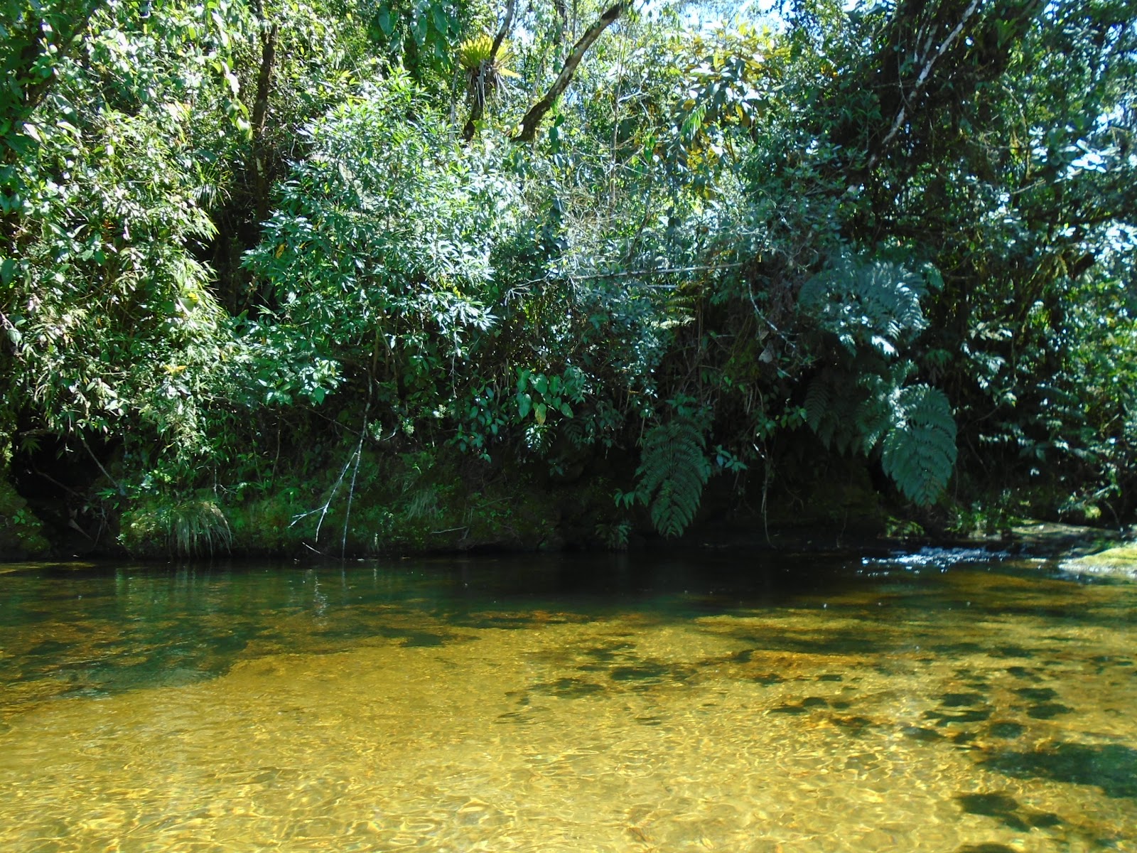 Mirante da Cachoeira do Rio Mimoso