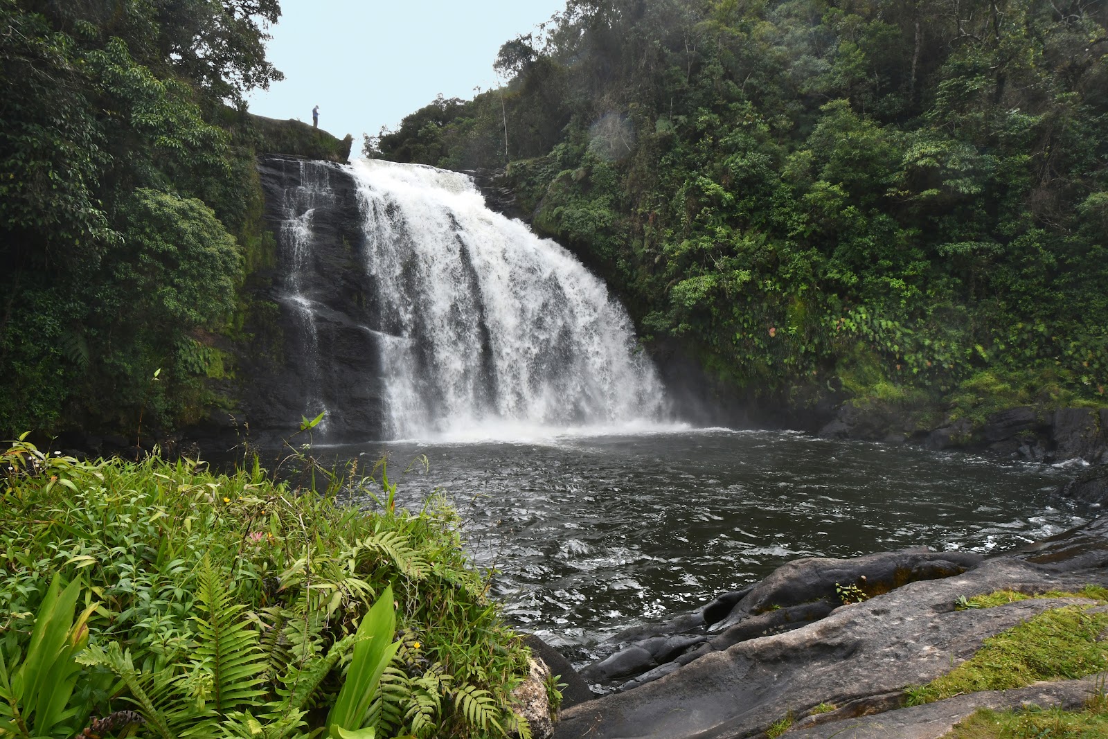 Cachoeira do Bracui