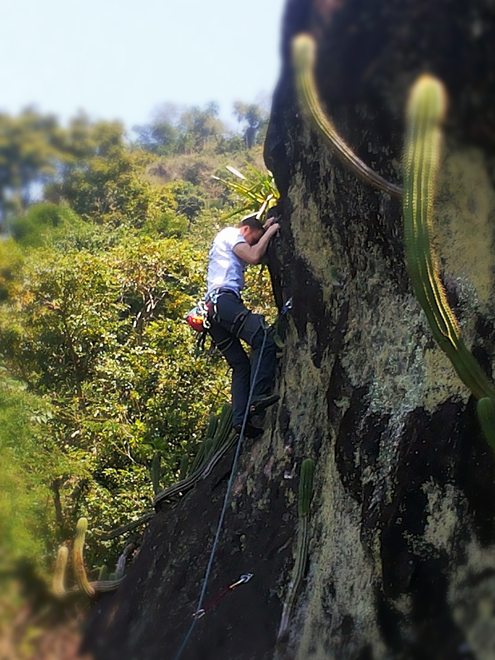 Campo Escola de Escalada do Retiro - MIRANTE - Angra dos Reis - RJ