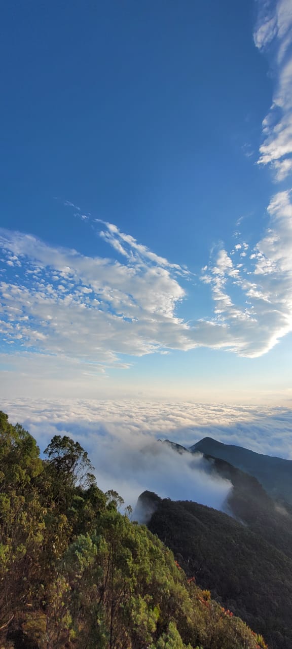Pedra do Frade