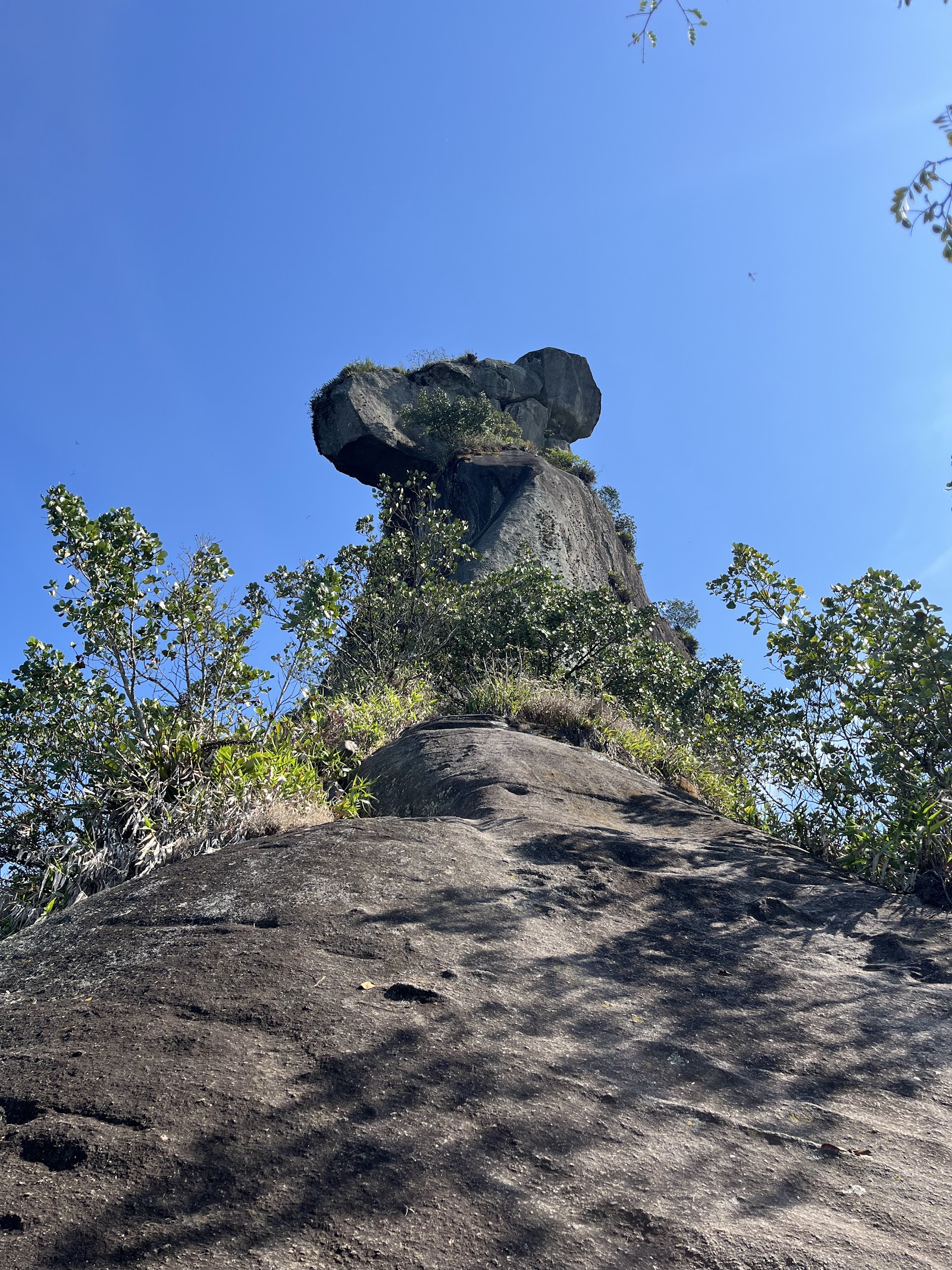 Pico do Papagaio
