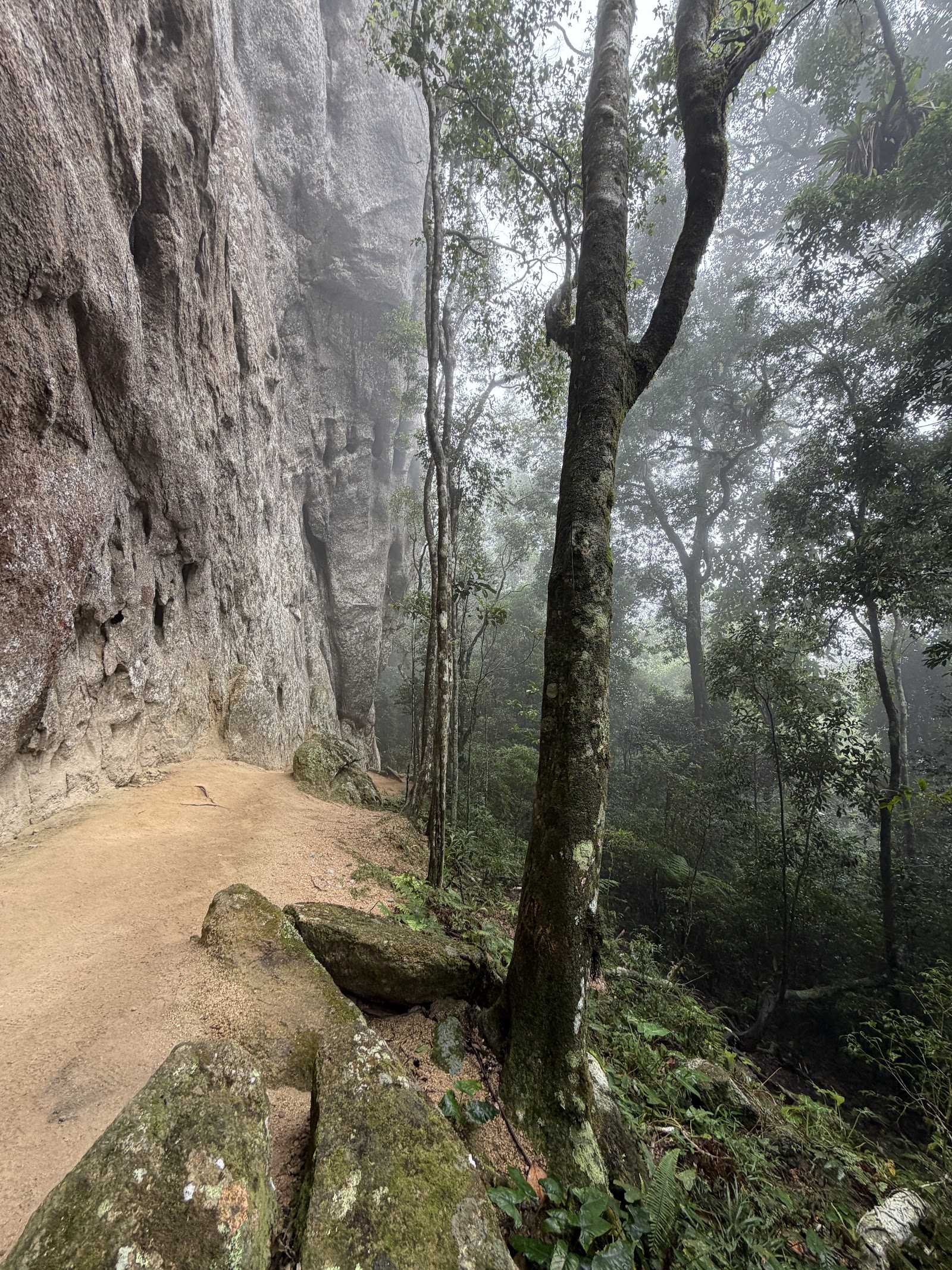 Pico do Papagaio