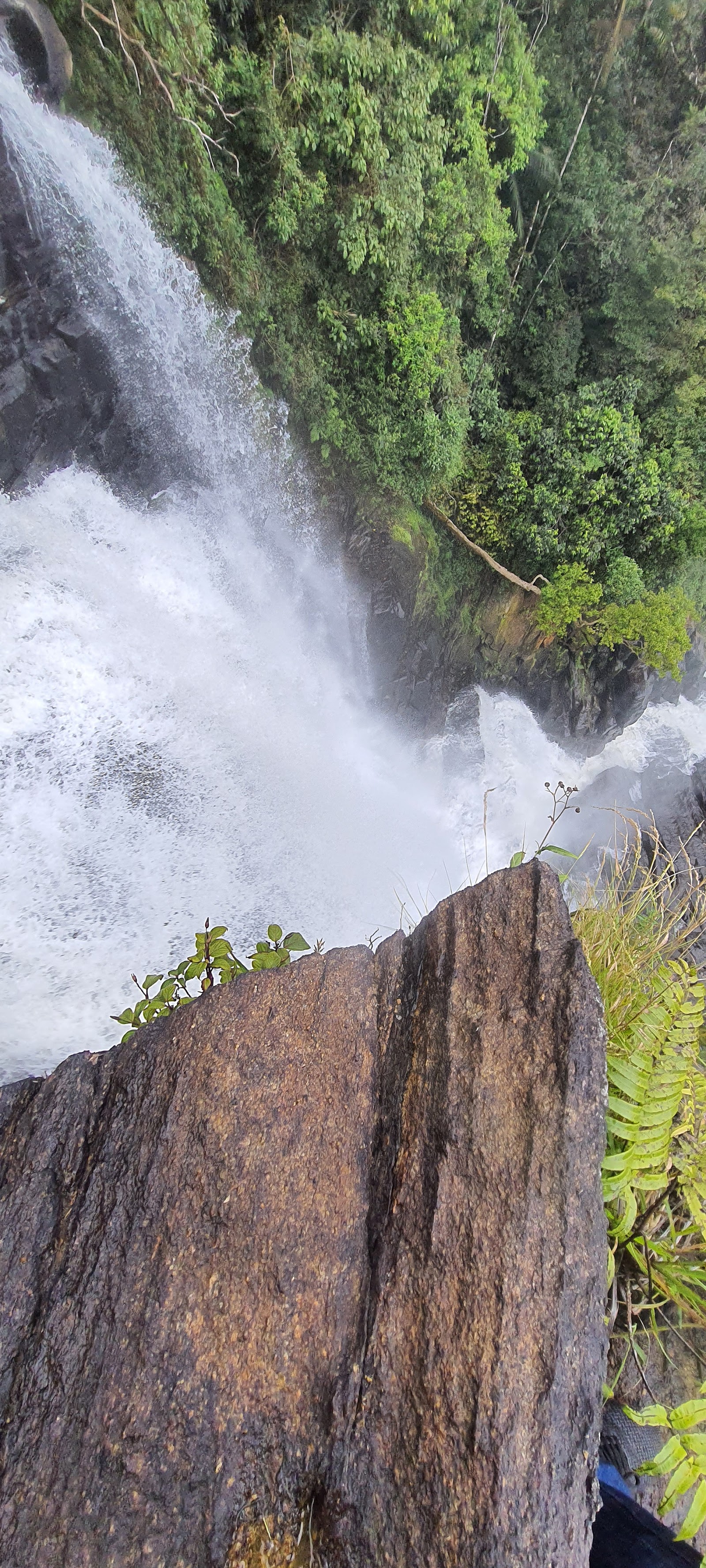 Cachoeira do Bracuí