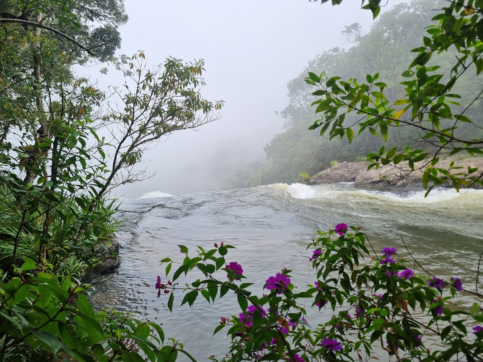 Cachoeira do Bracuí