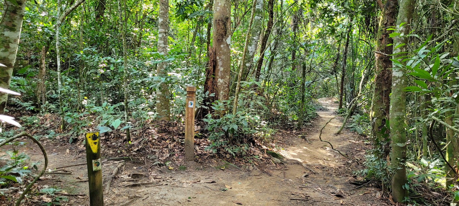 Trevo da Trilha Ferticeira a Trilha Iguaçu