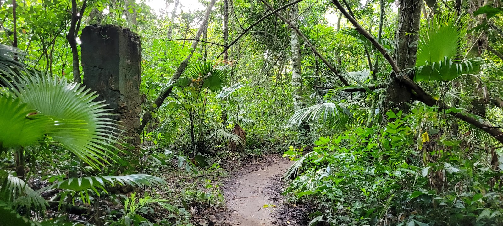 Trevo da Trilha Ferticeira a Trilha Iguaçu