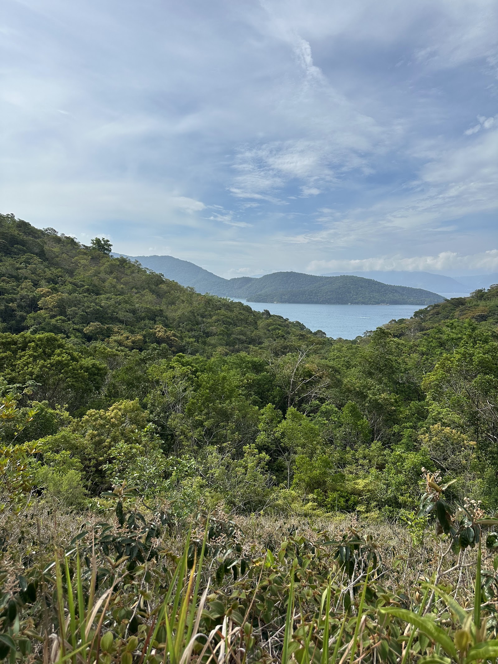 Trevo da Trilha Ferticeira a Trilha Iguaçu