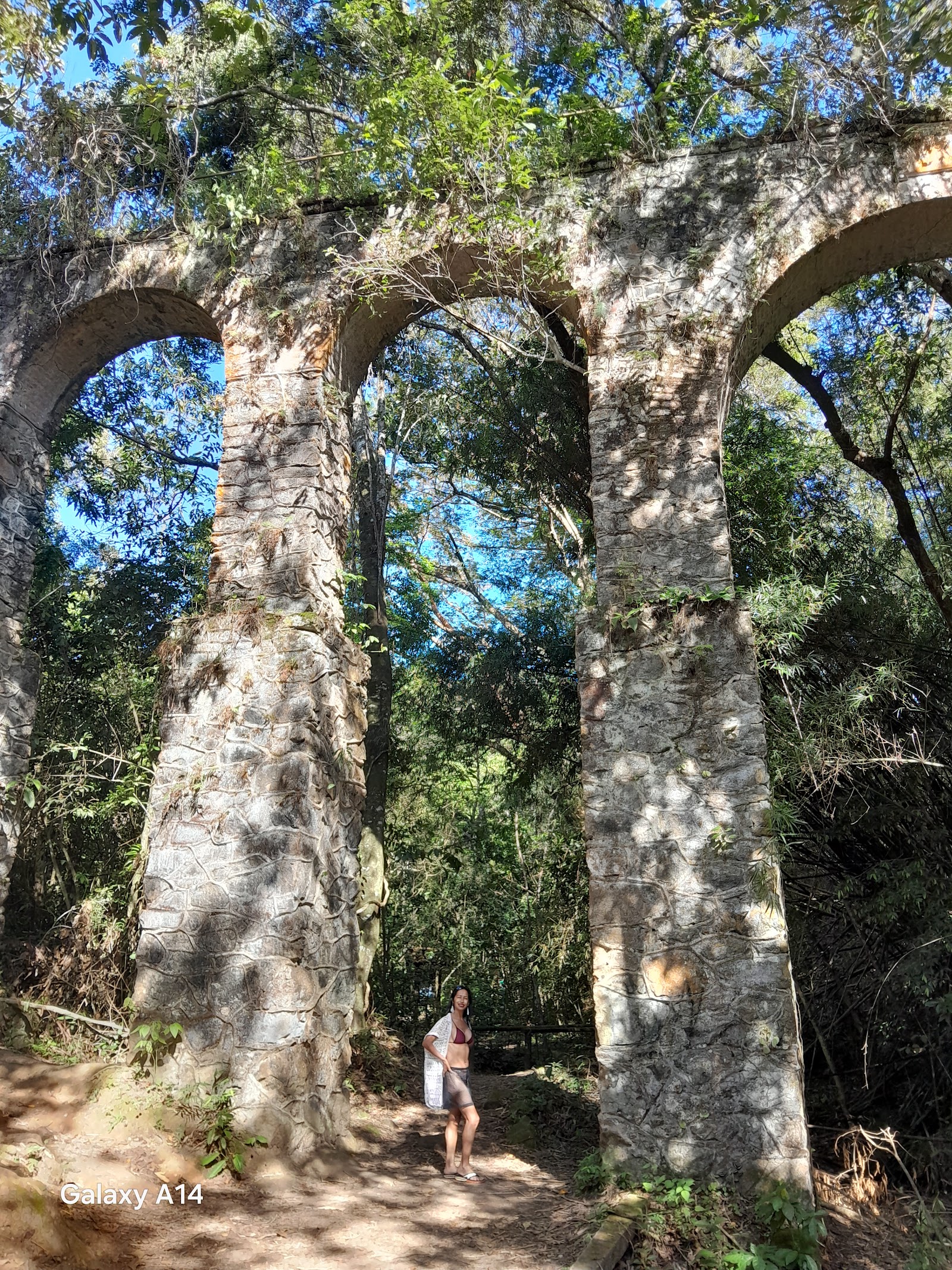 Trevo da Trilha Ferticeira a Trilha Iguaçu