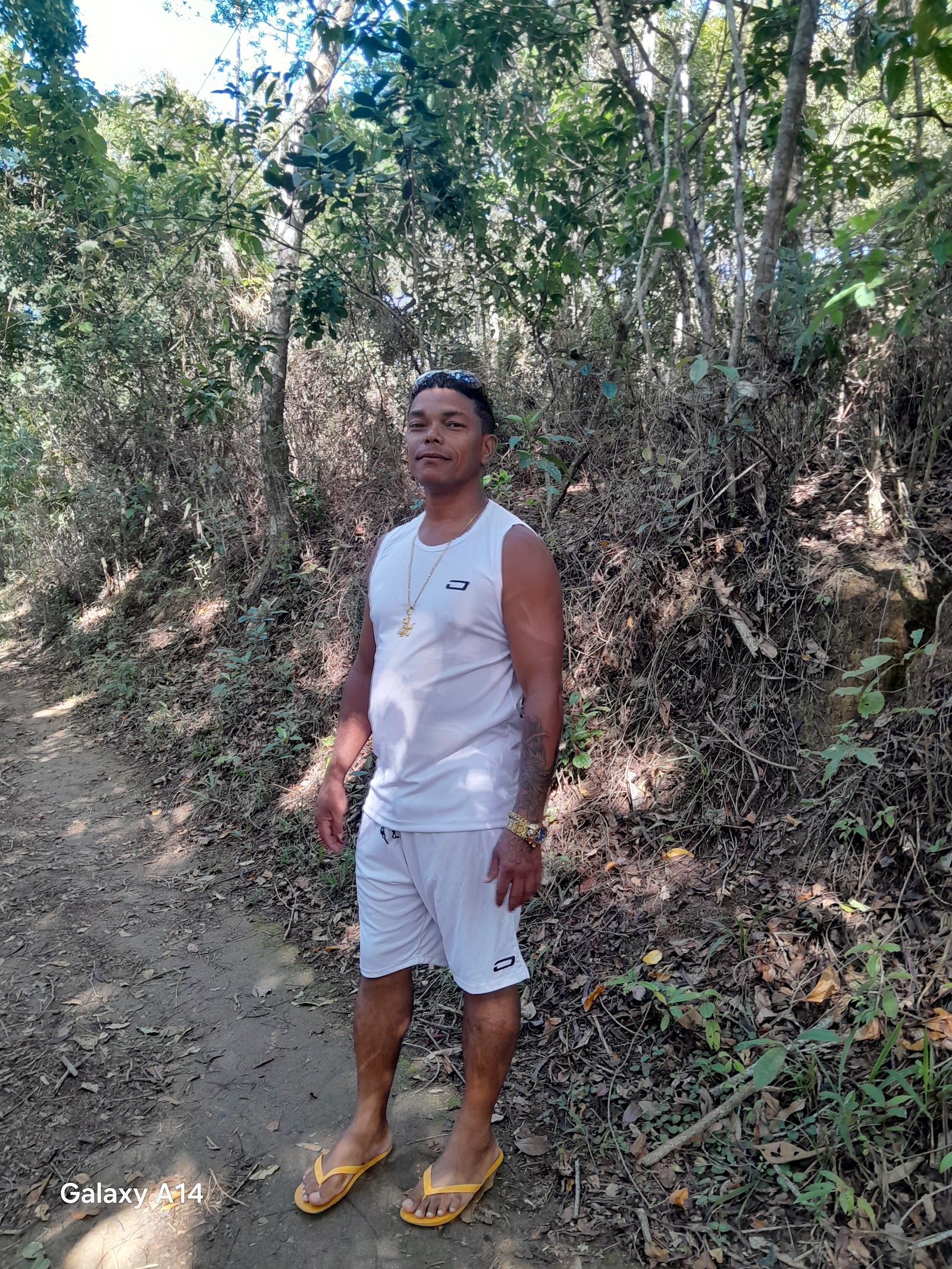 Trevo da Trilha Ferticeira a Trilha Iguaçu