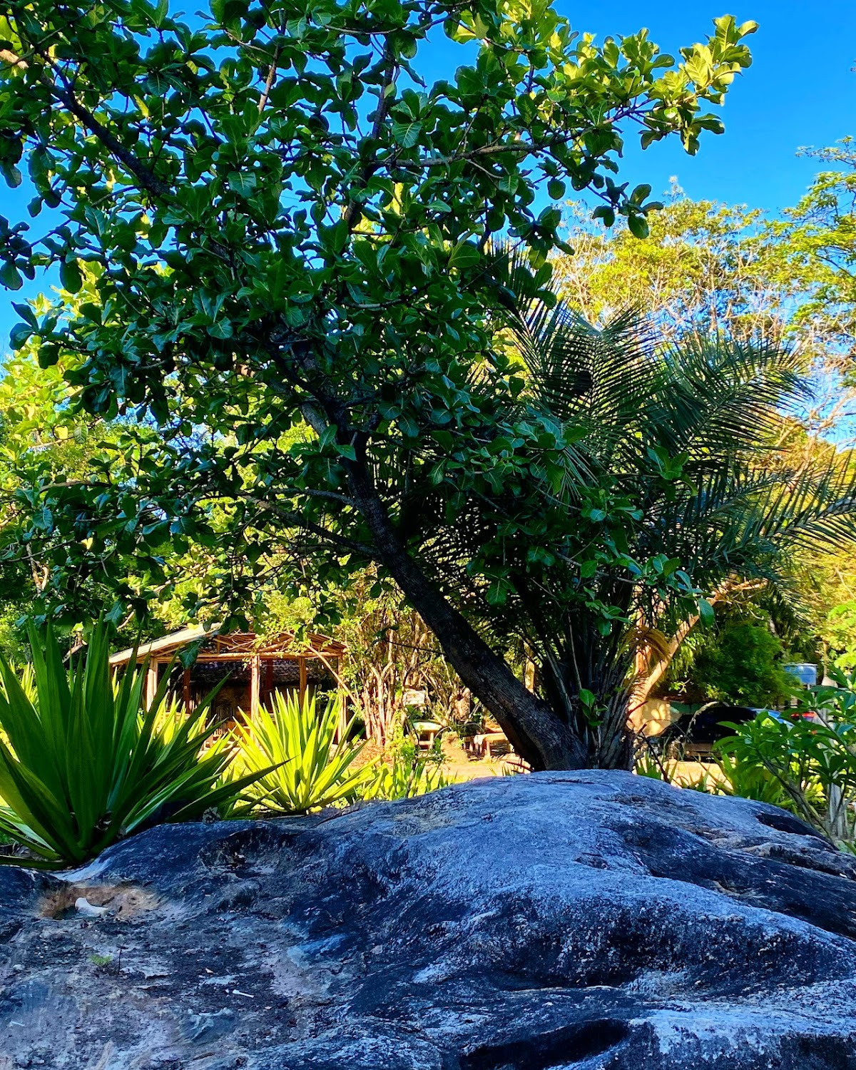 Camping Sapiranga