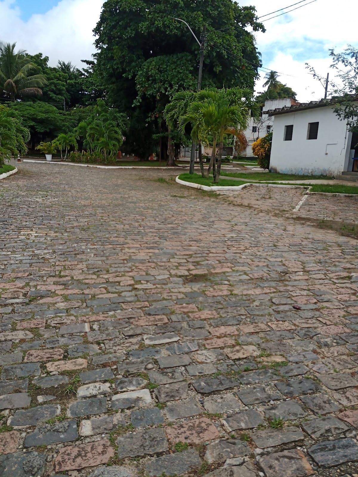 Parque do Queimado - NEOJIBA Liberdade