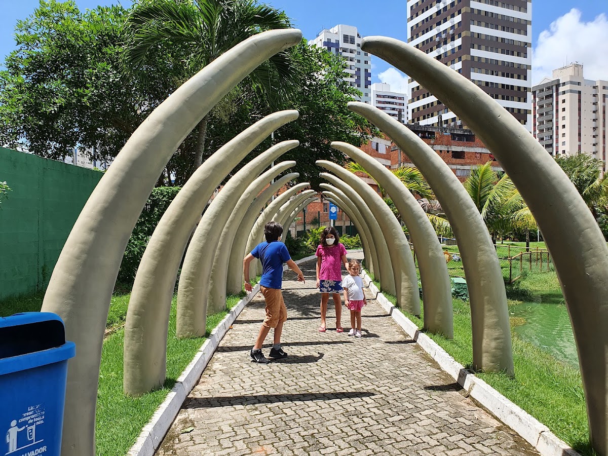 Lagoa dos Dinossauros