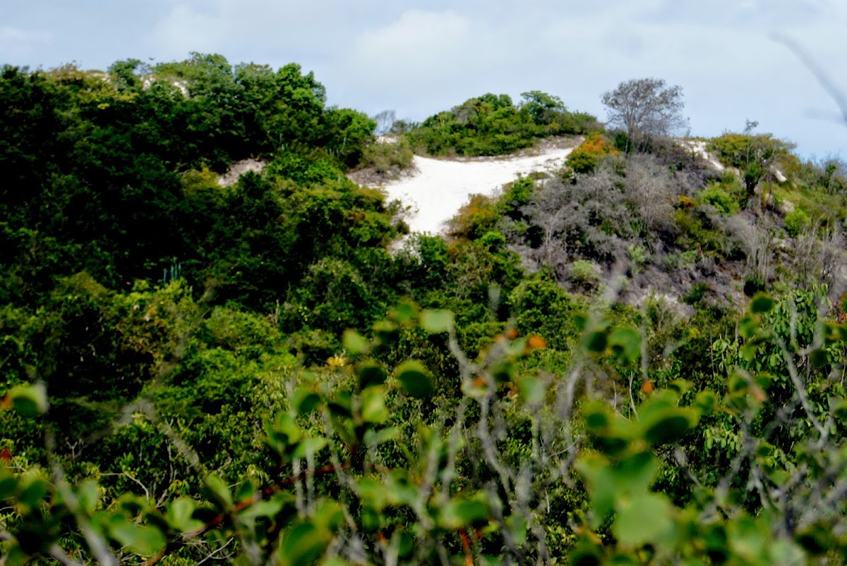 Dunas de Stella Mares