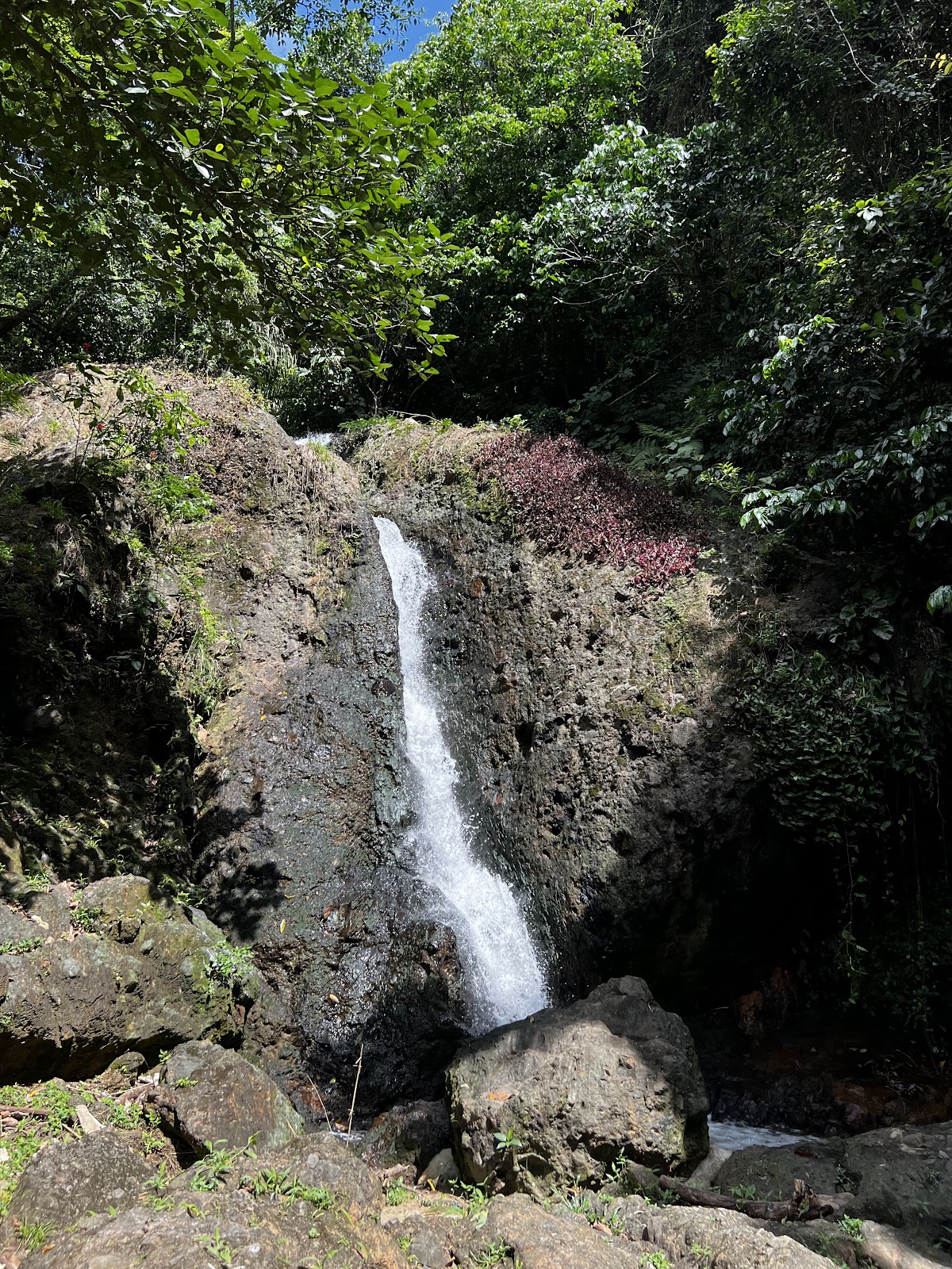 Parque São Bartolomeu e Parque Pirajá