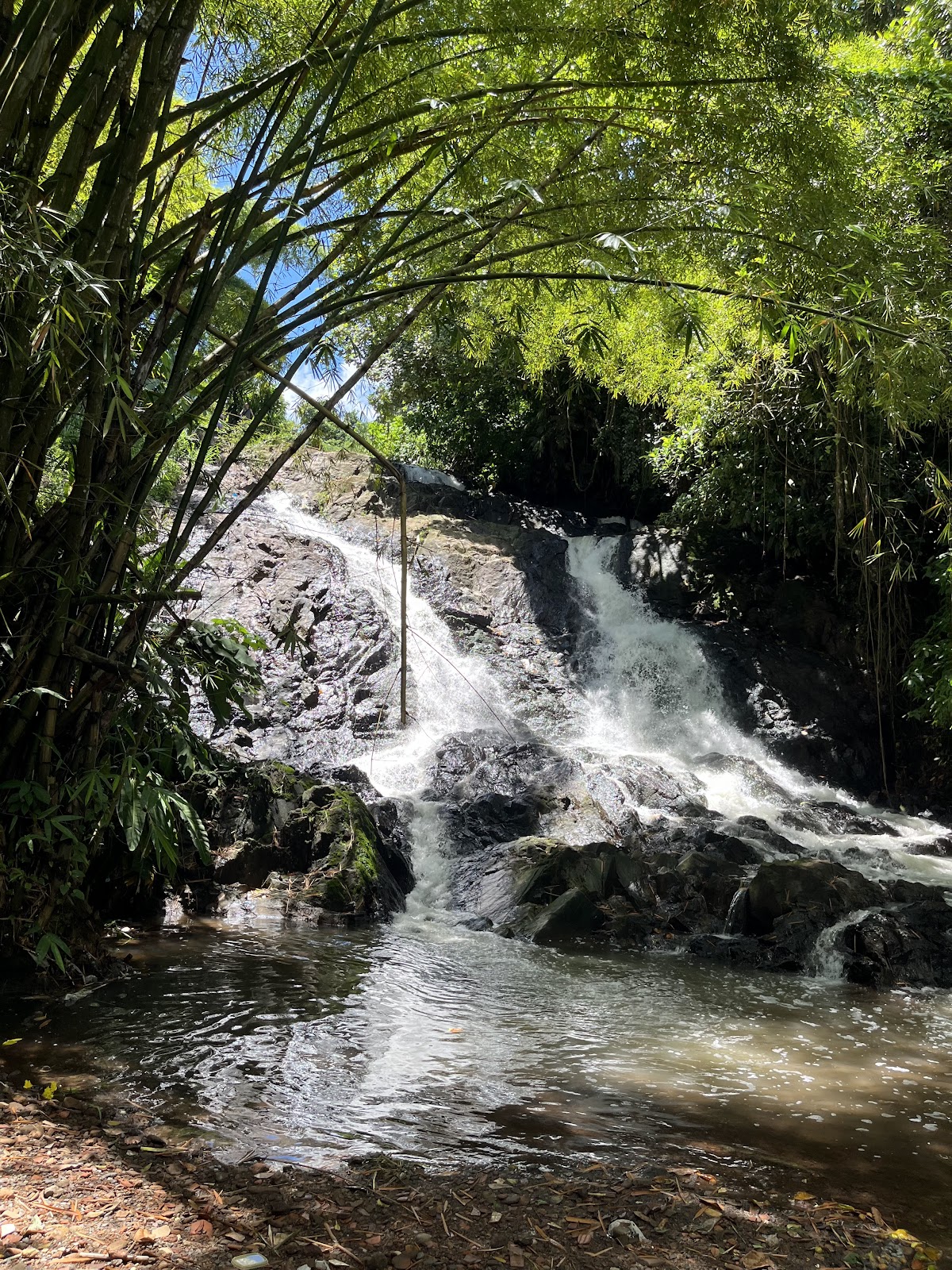 Parque São Bartolomeu e Parque Pirajá
