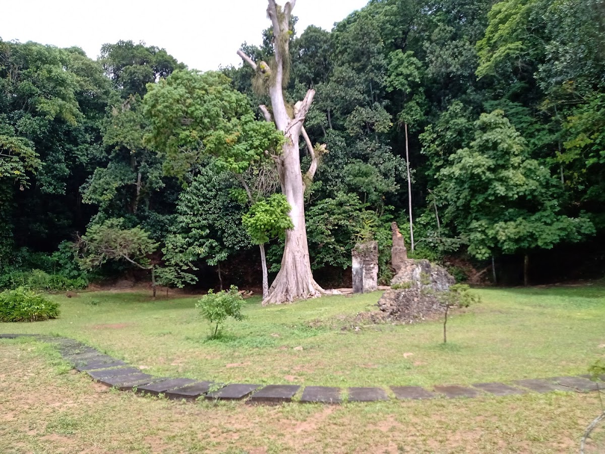 Parque São Bartolomeu e Parque Pirajá