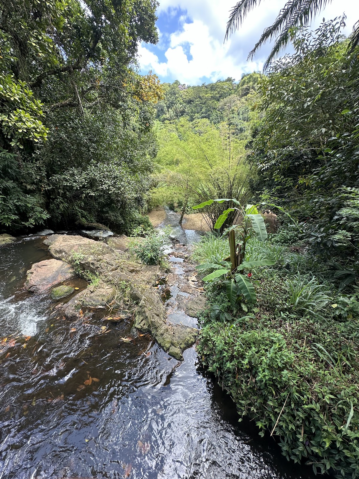 Parque São Bartolomeu e Parque Pirajá