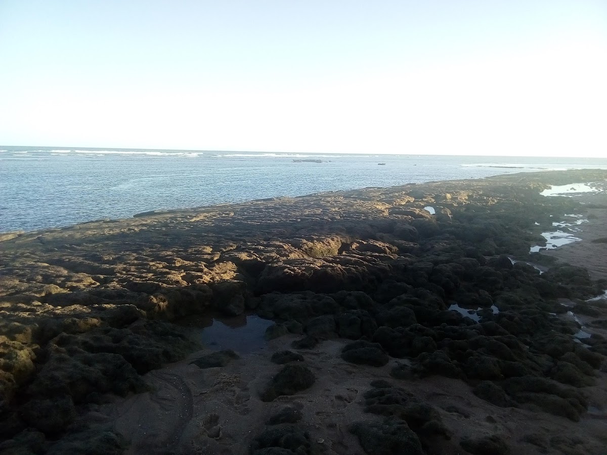 Praia do Lord