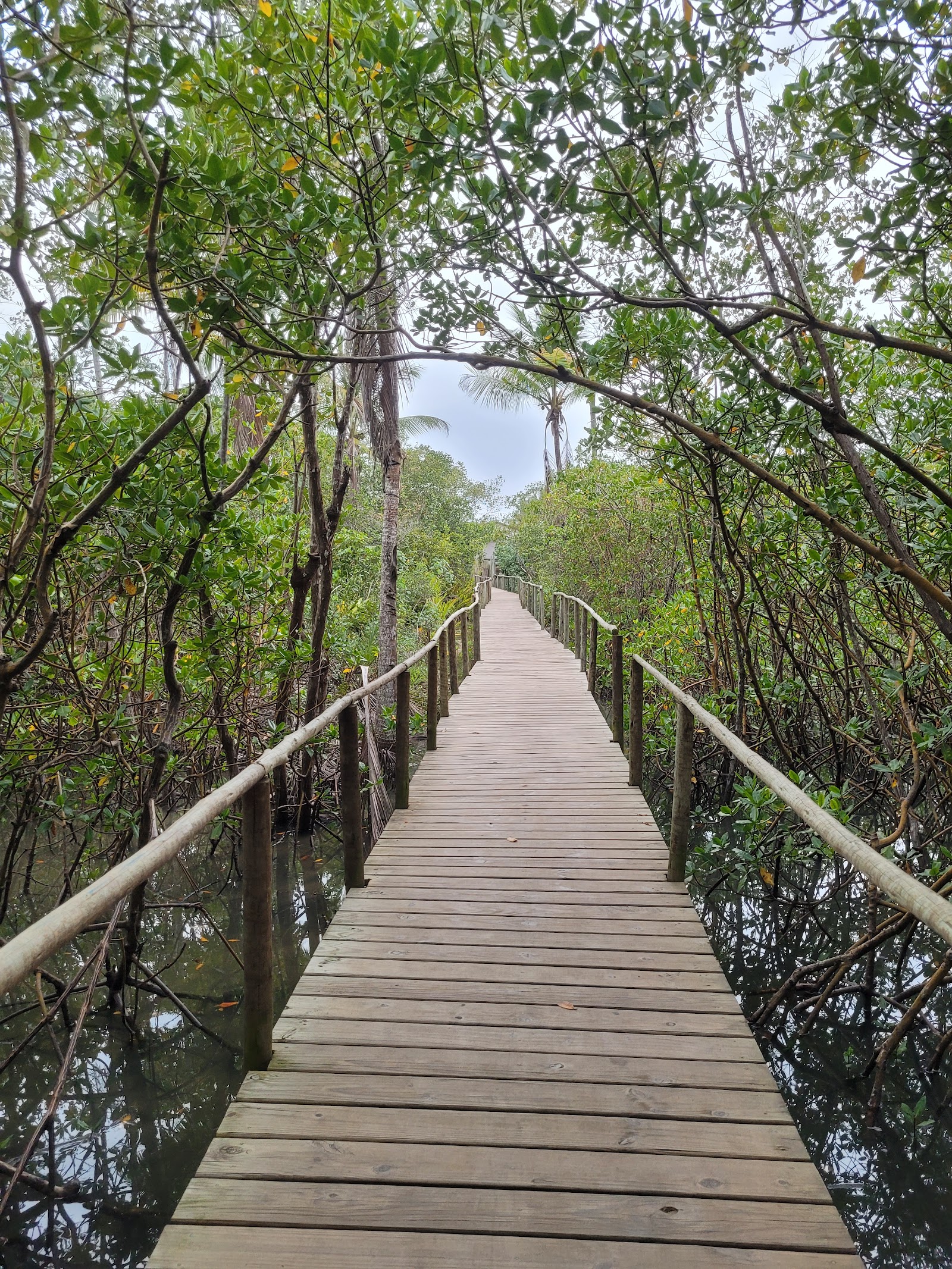 Praia dos Nativos