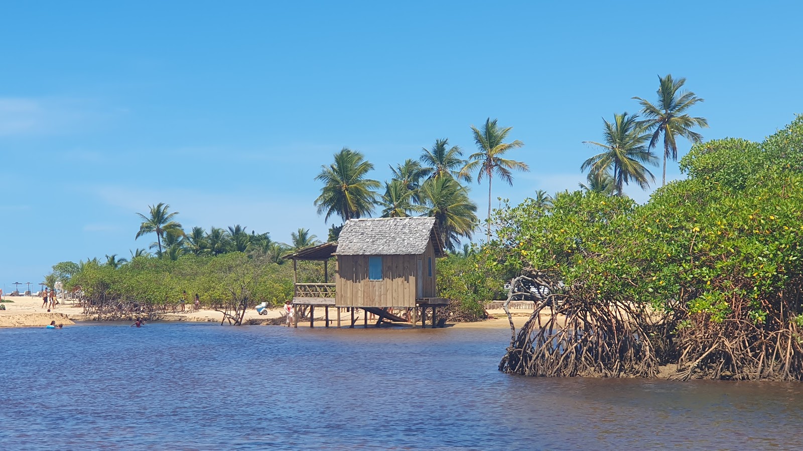 Praia dos Nativos