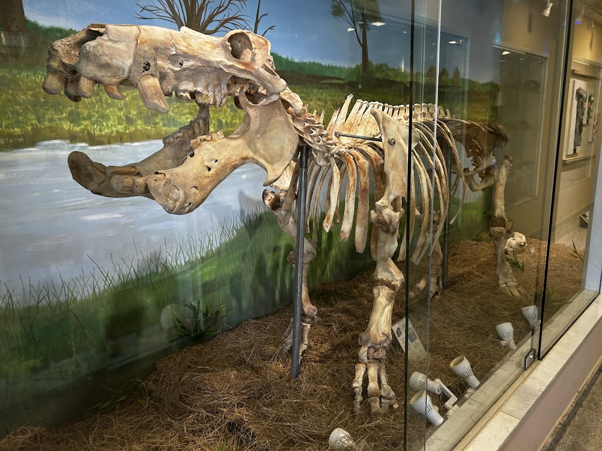 Museu de História Natural