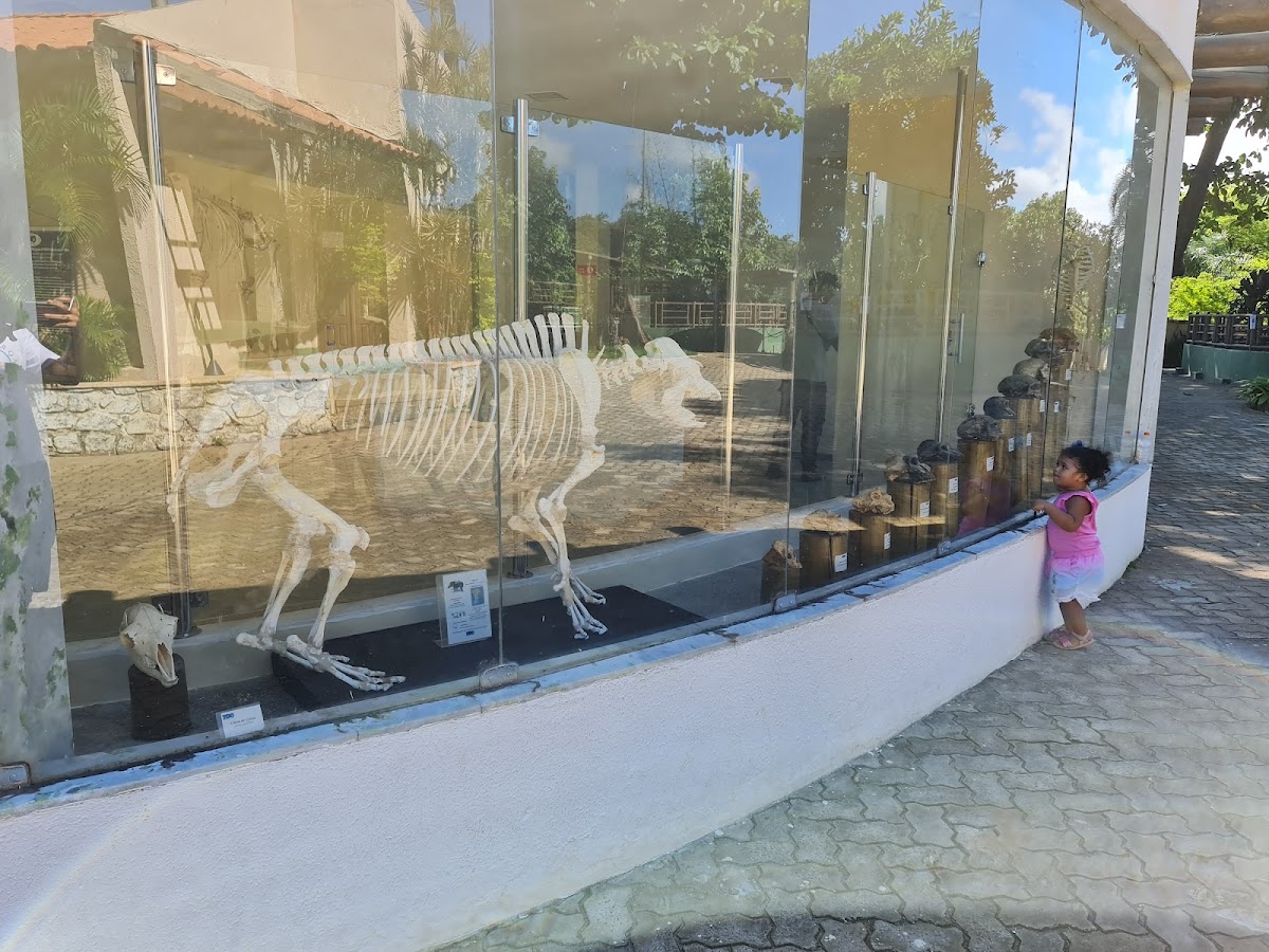 Museu de História Natural