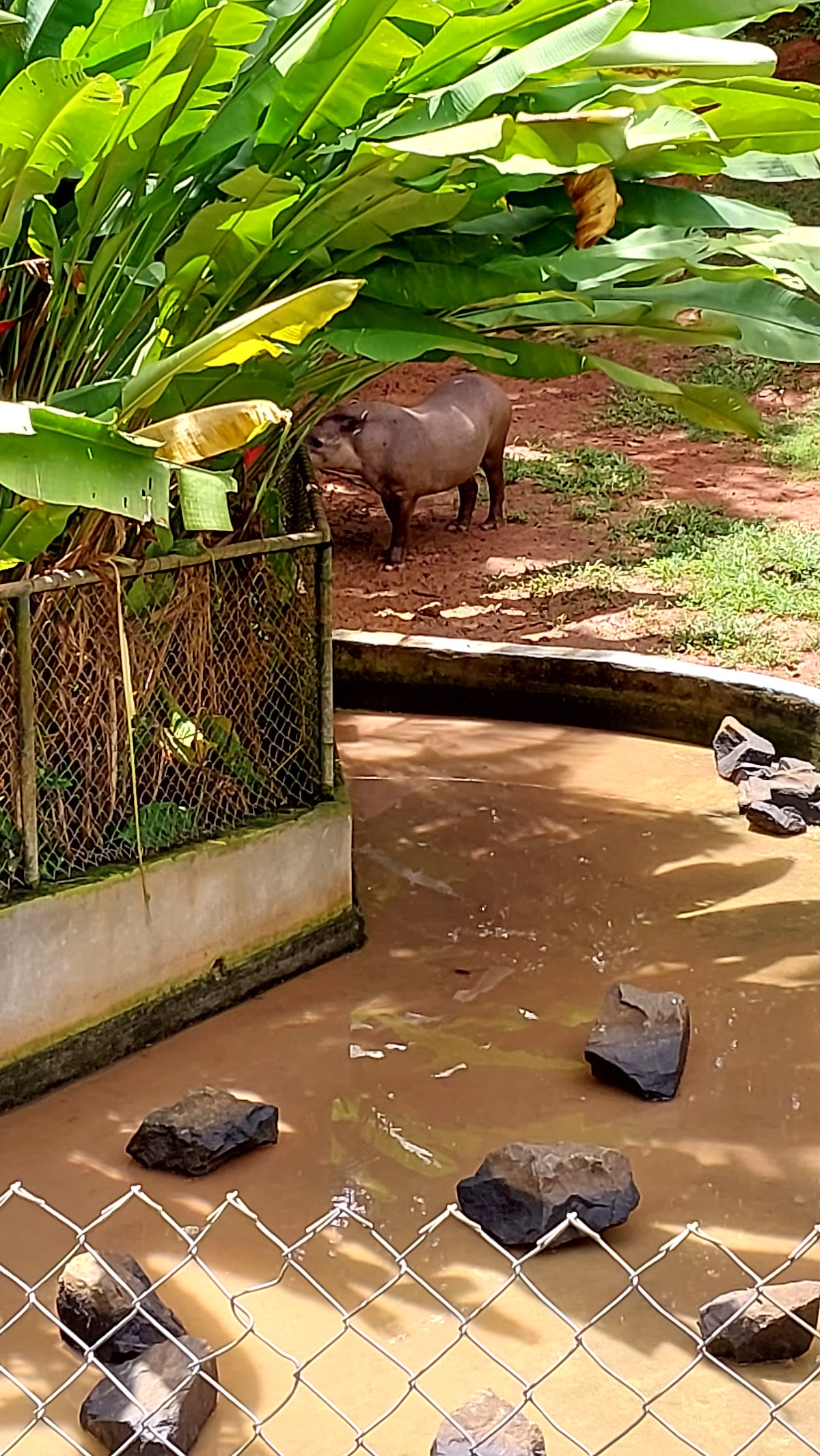 Museu de História Natural