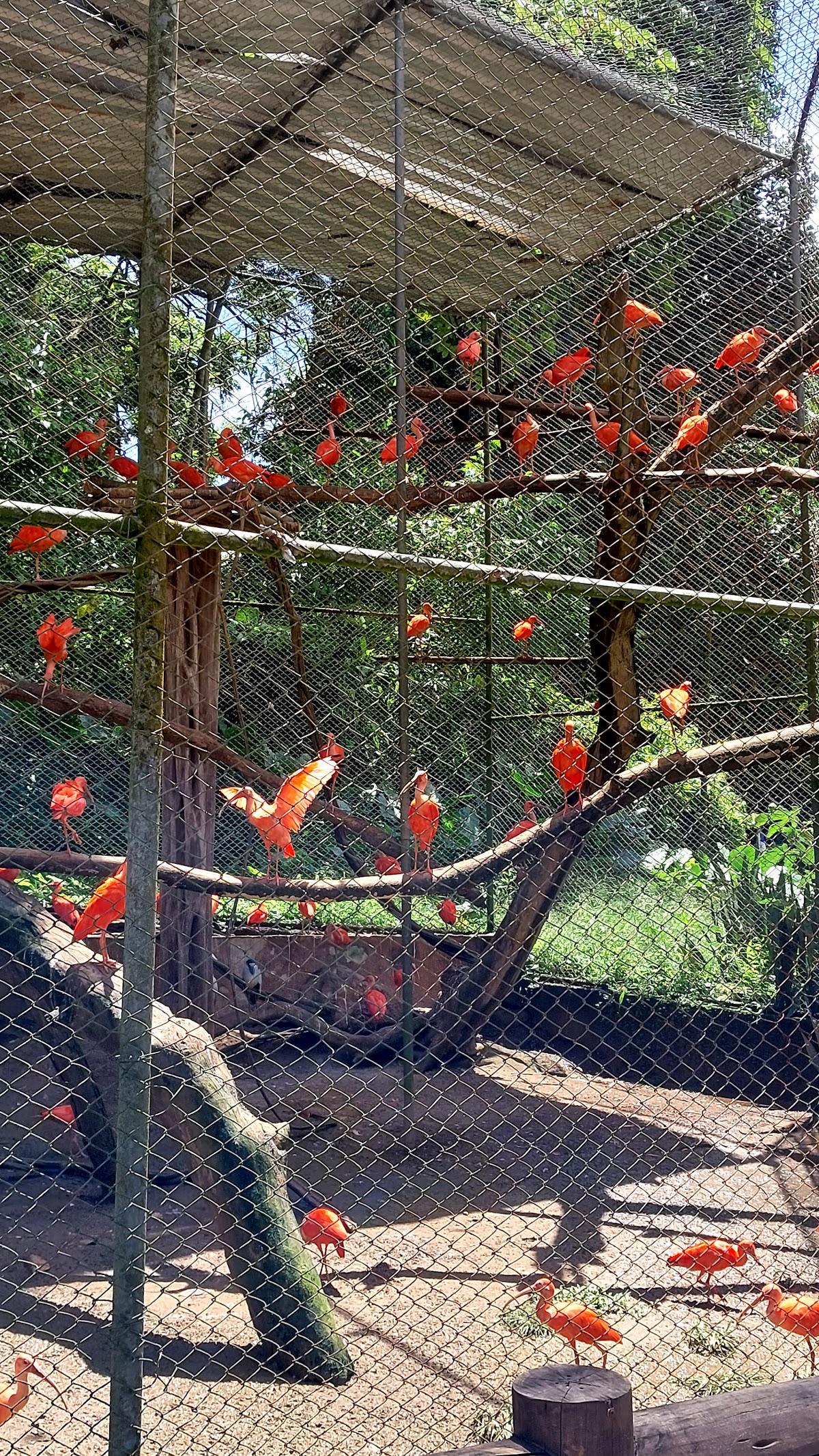 Museu de História Natural