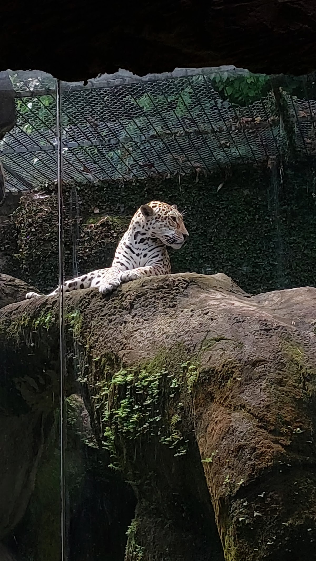 Museu de História Natural