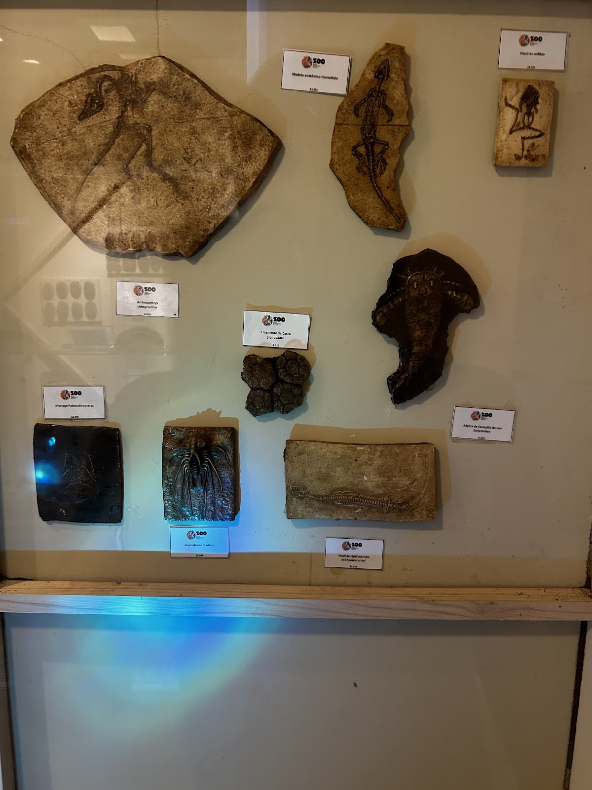 Museu de História Natural