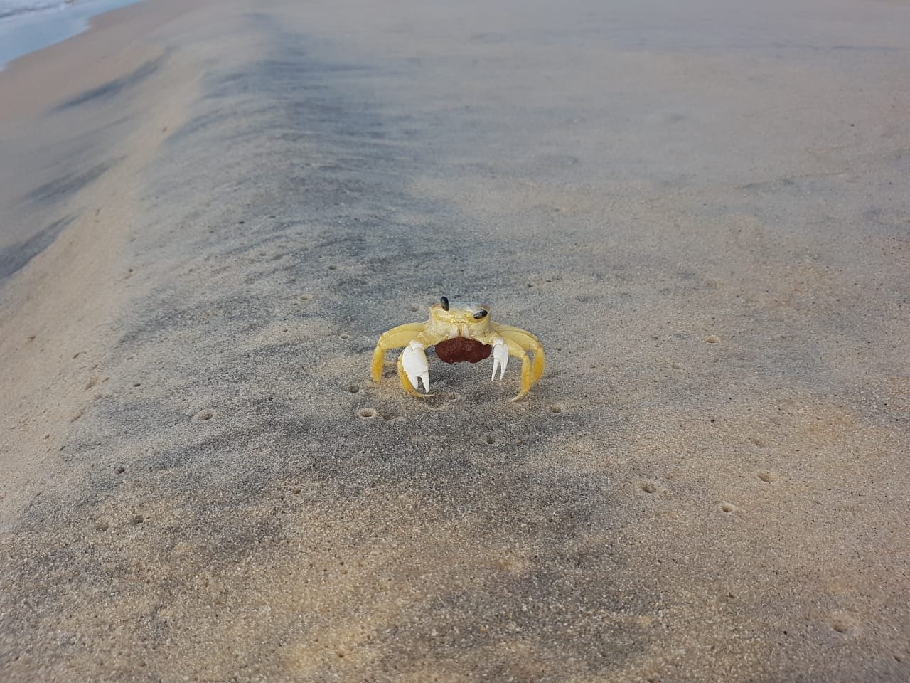 Praia de Taípe
