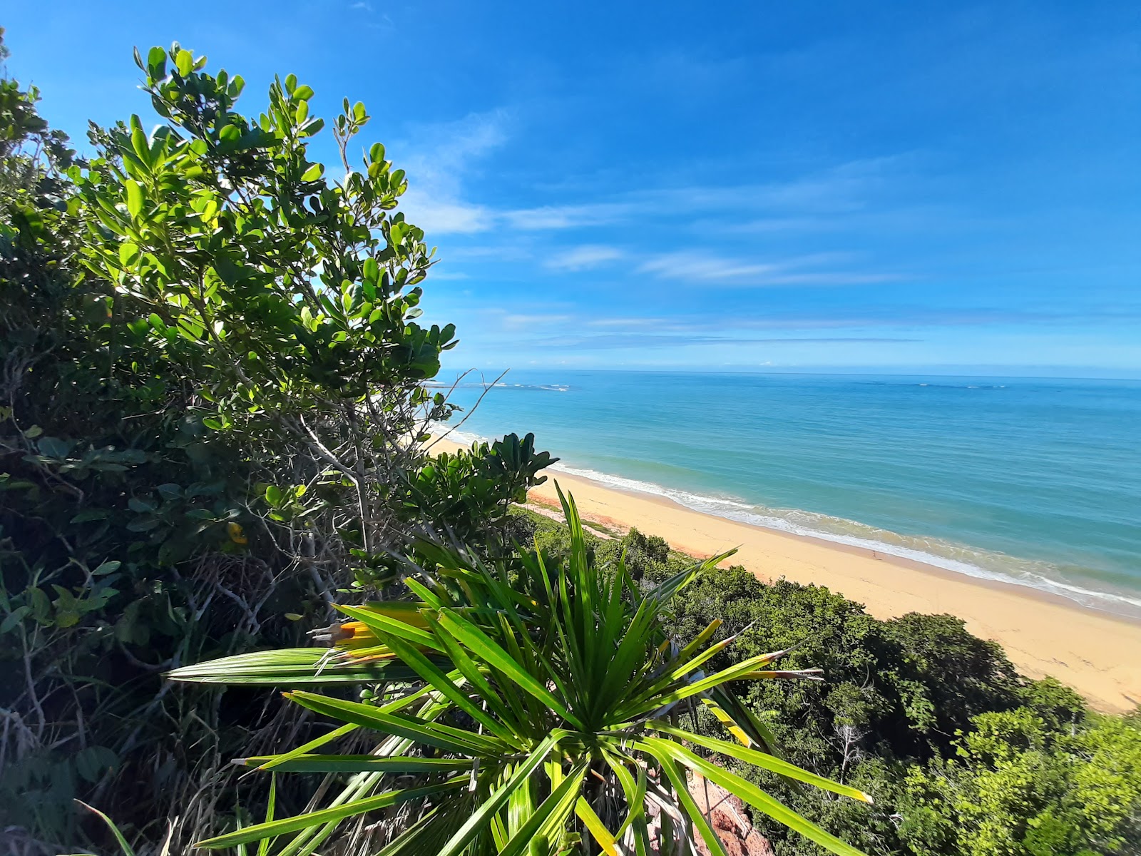 Praia de Pitinga