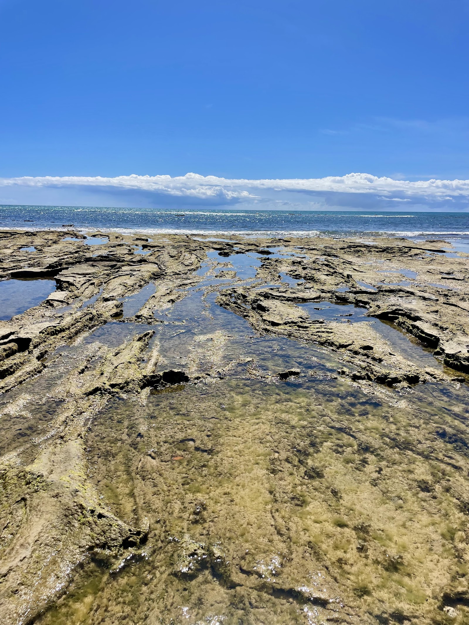 Praia de Pitinga