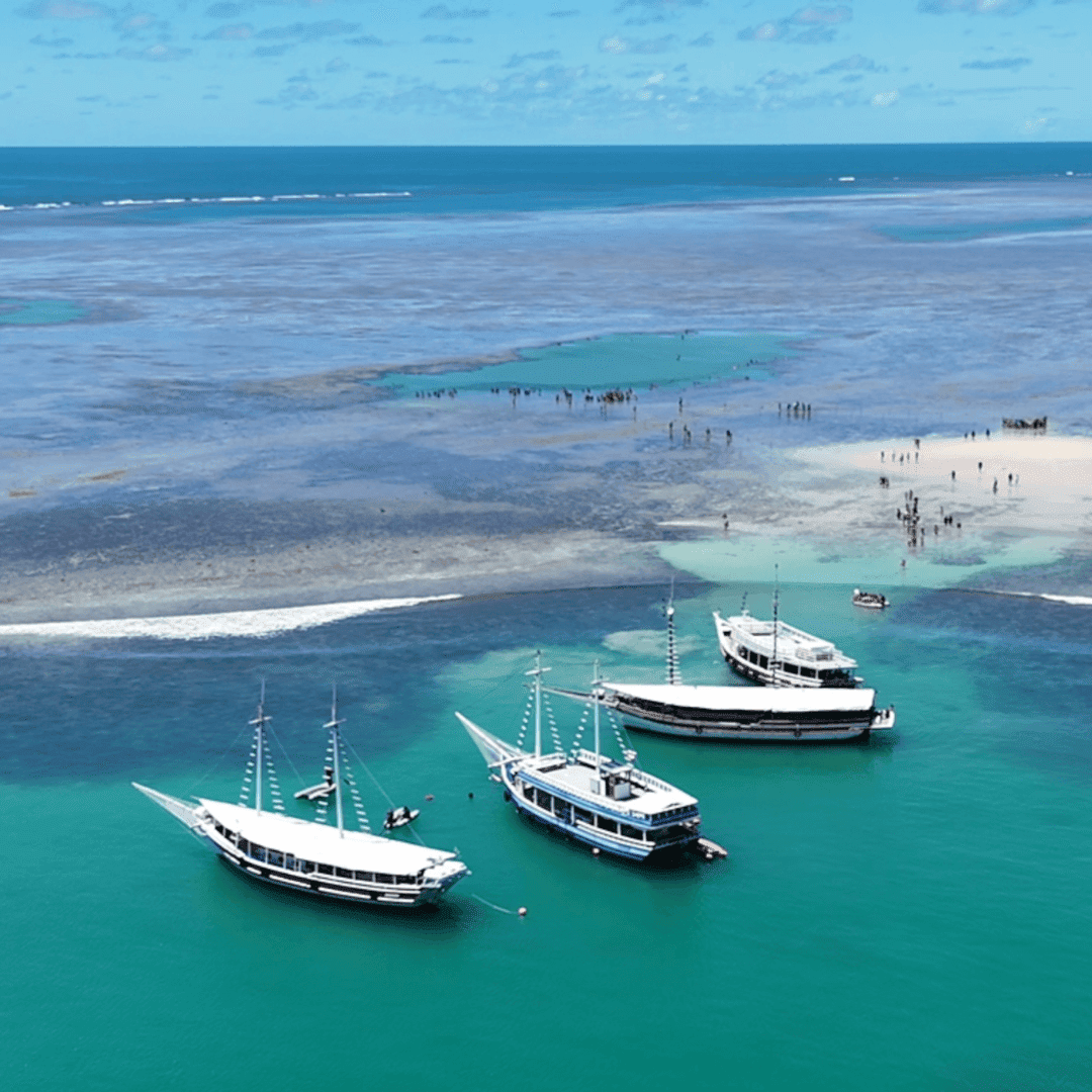 Parque Marinho do Recife de Fora