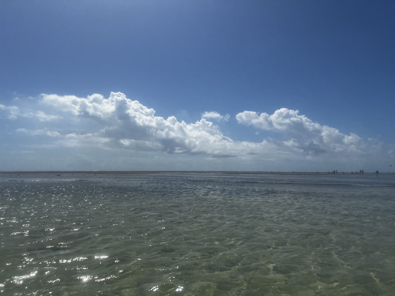 Parque Marinho do Recife de Fora