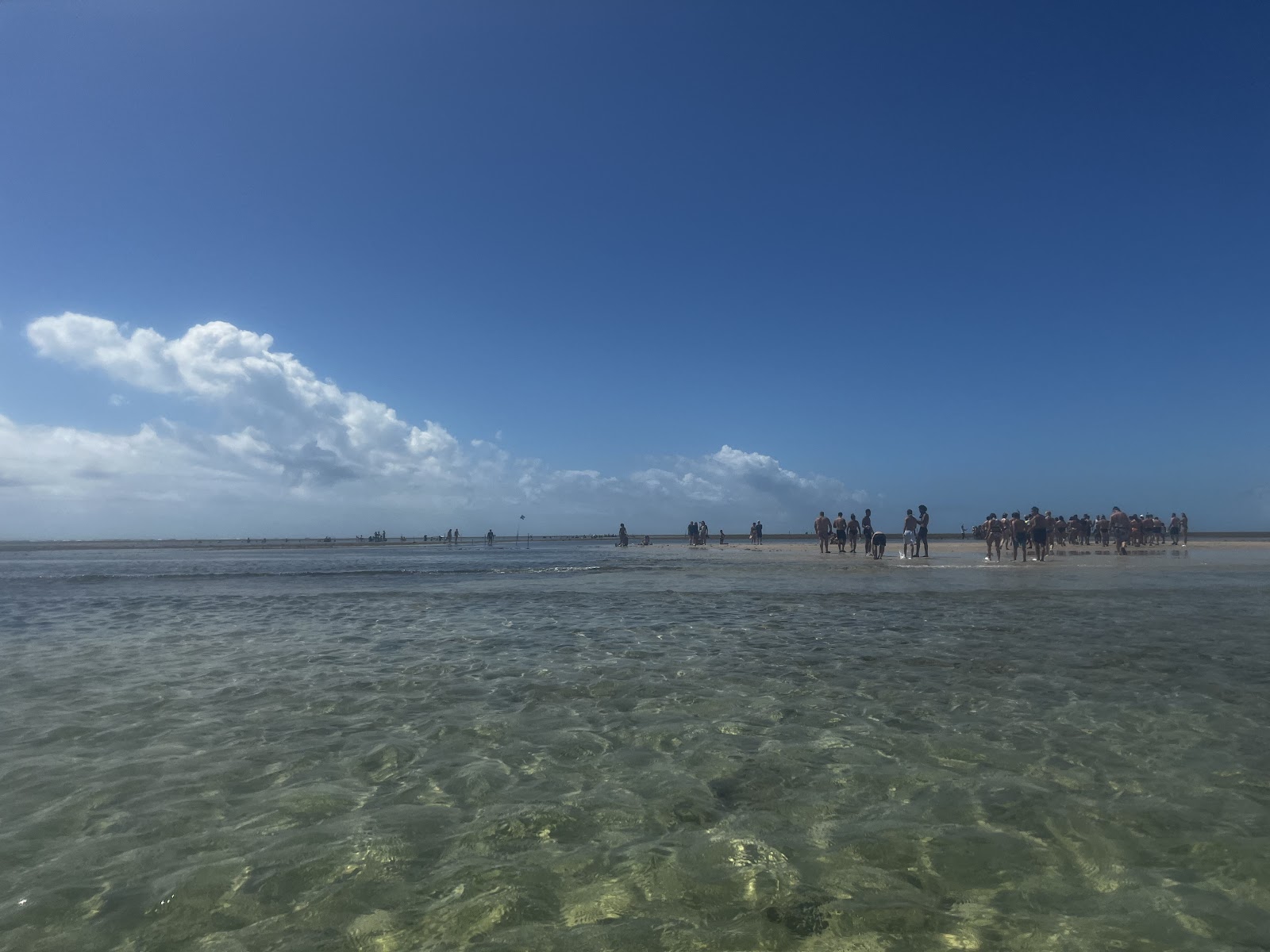 Parque Marinho do Recife de Fora
