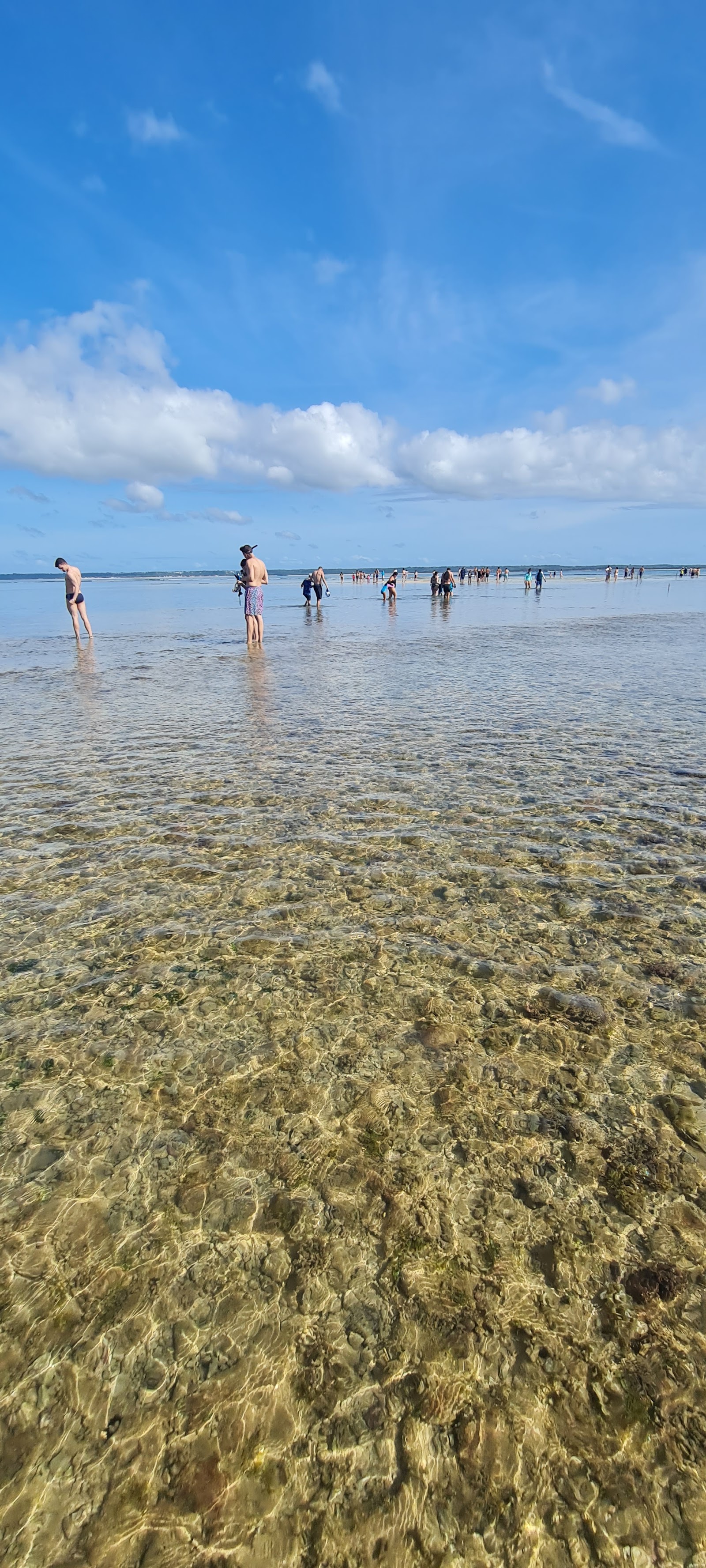 Parque Marinho do Recife de Fora