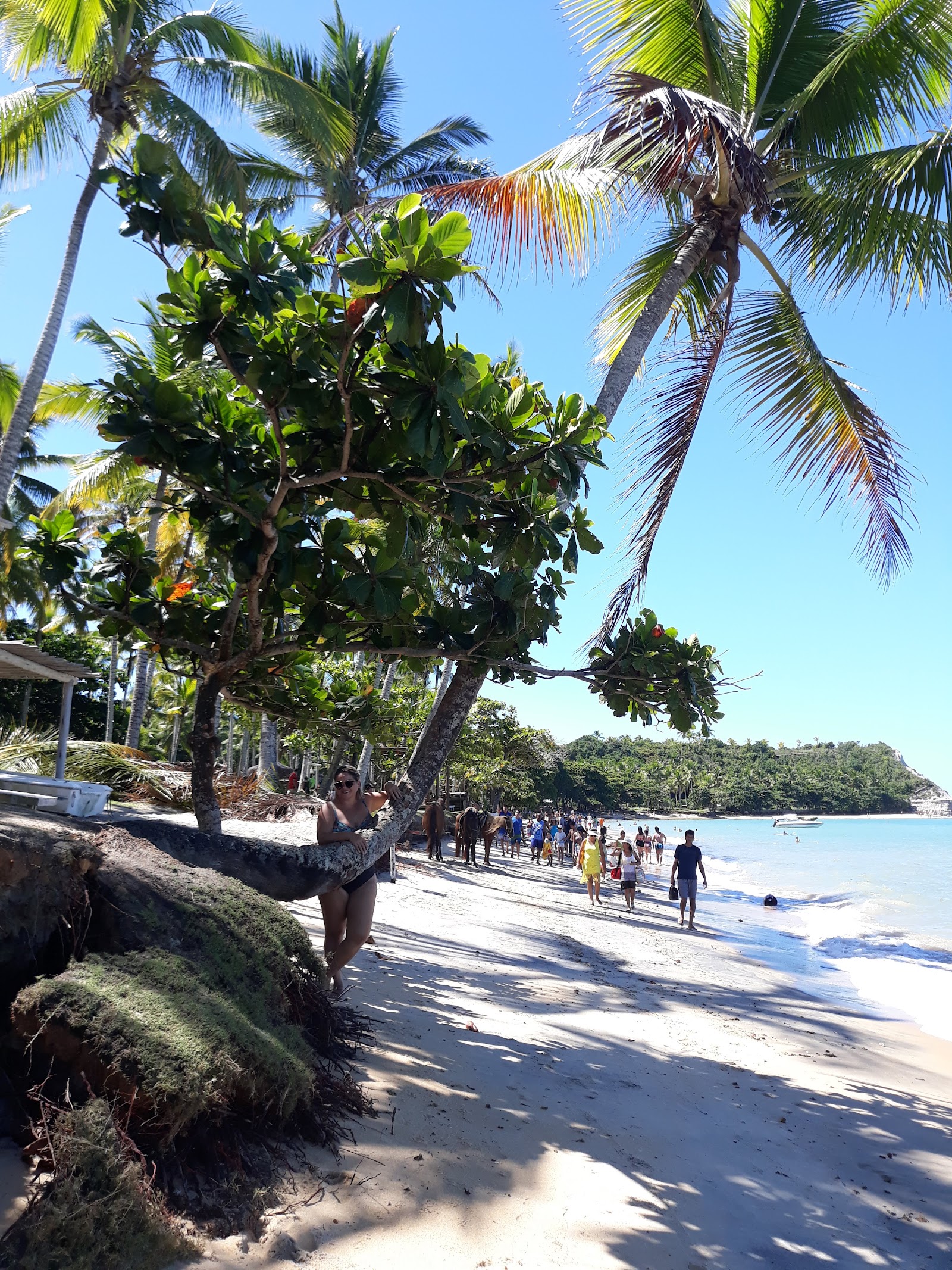 Porto Seguro