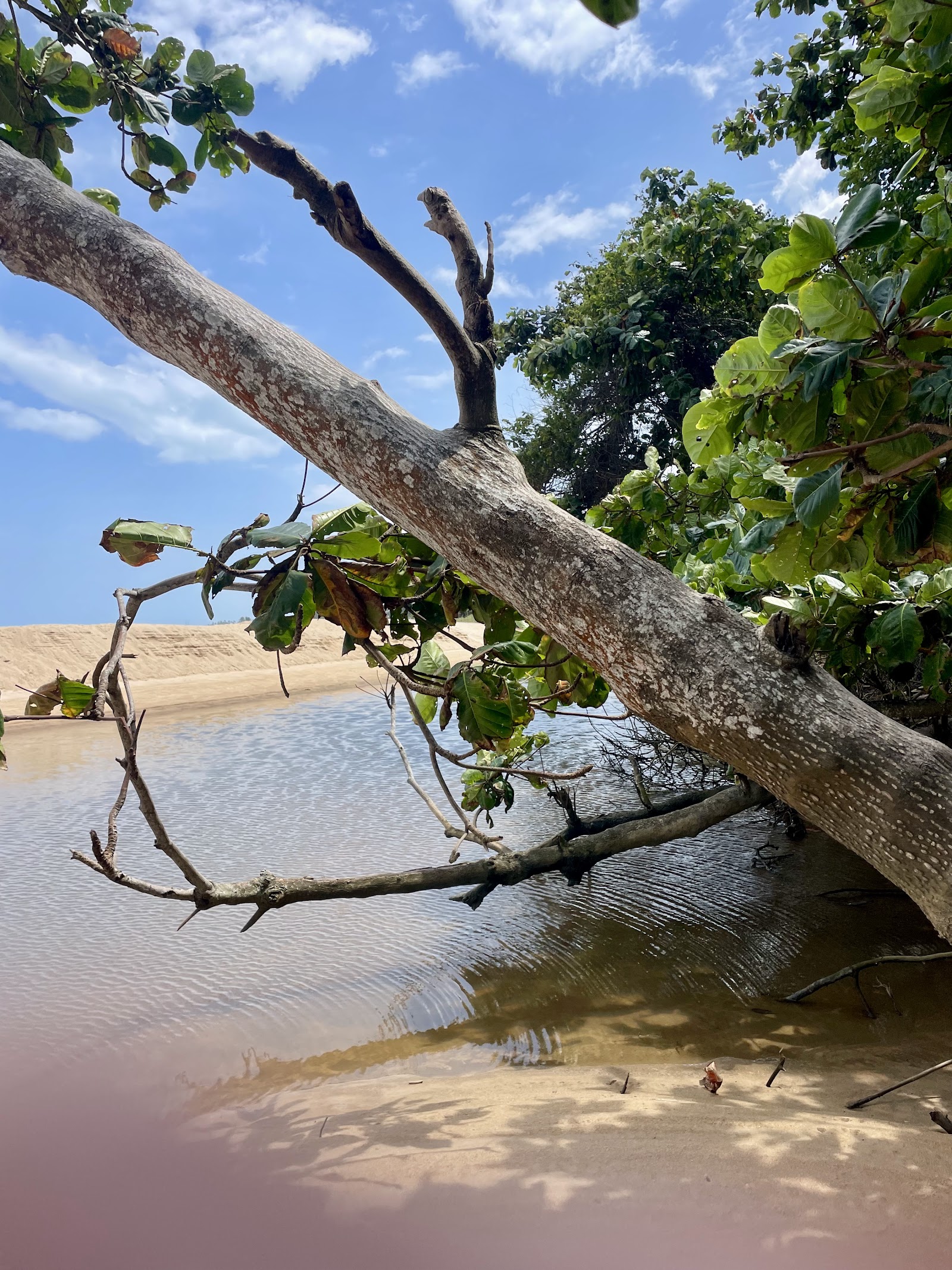 Praia Cruzeiro