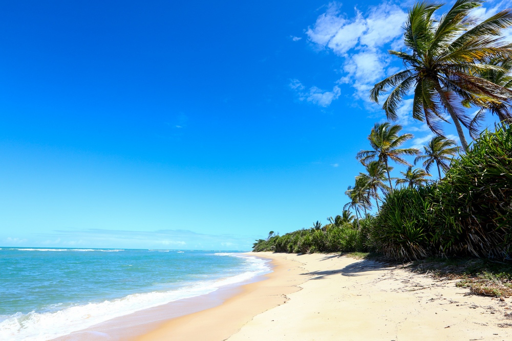 Praia de Itapororoca