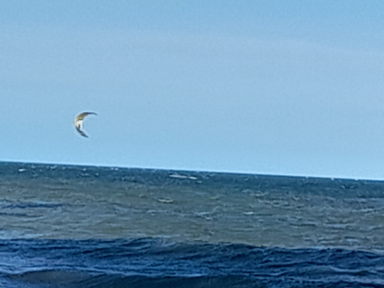 Praia do Chá