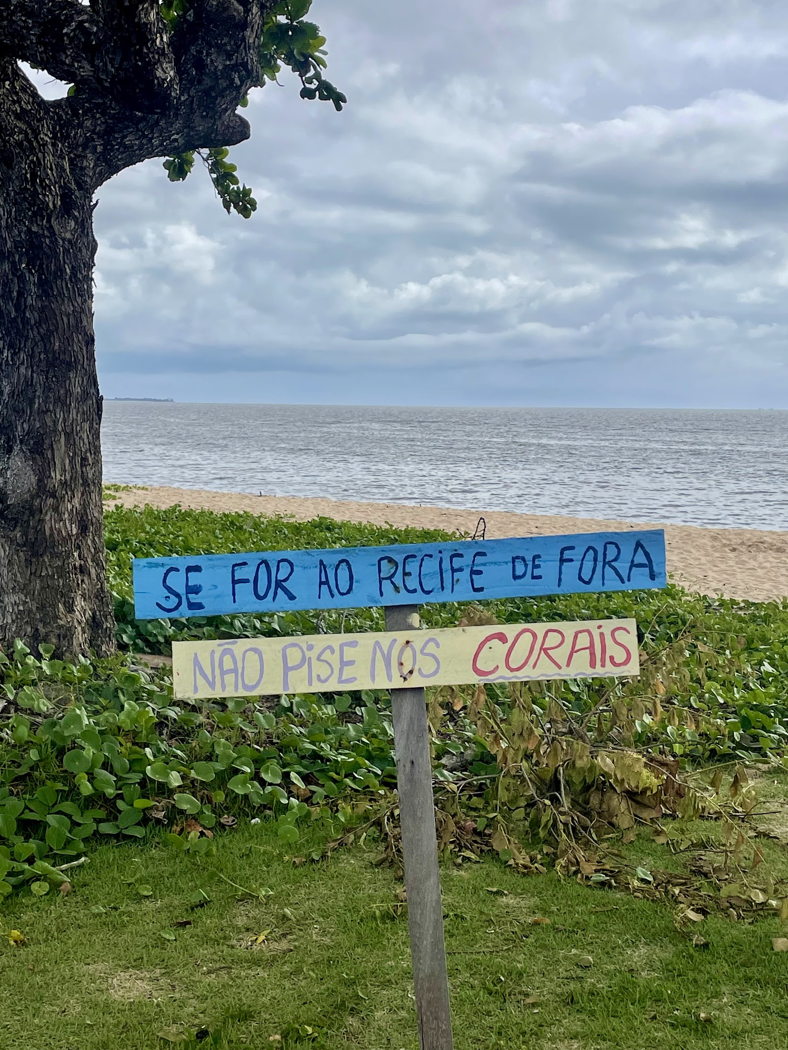 Praia do Chá