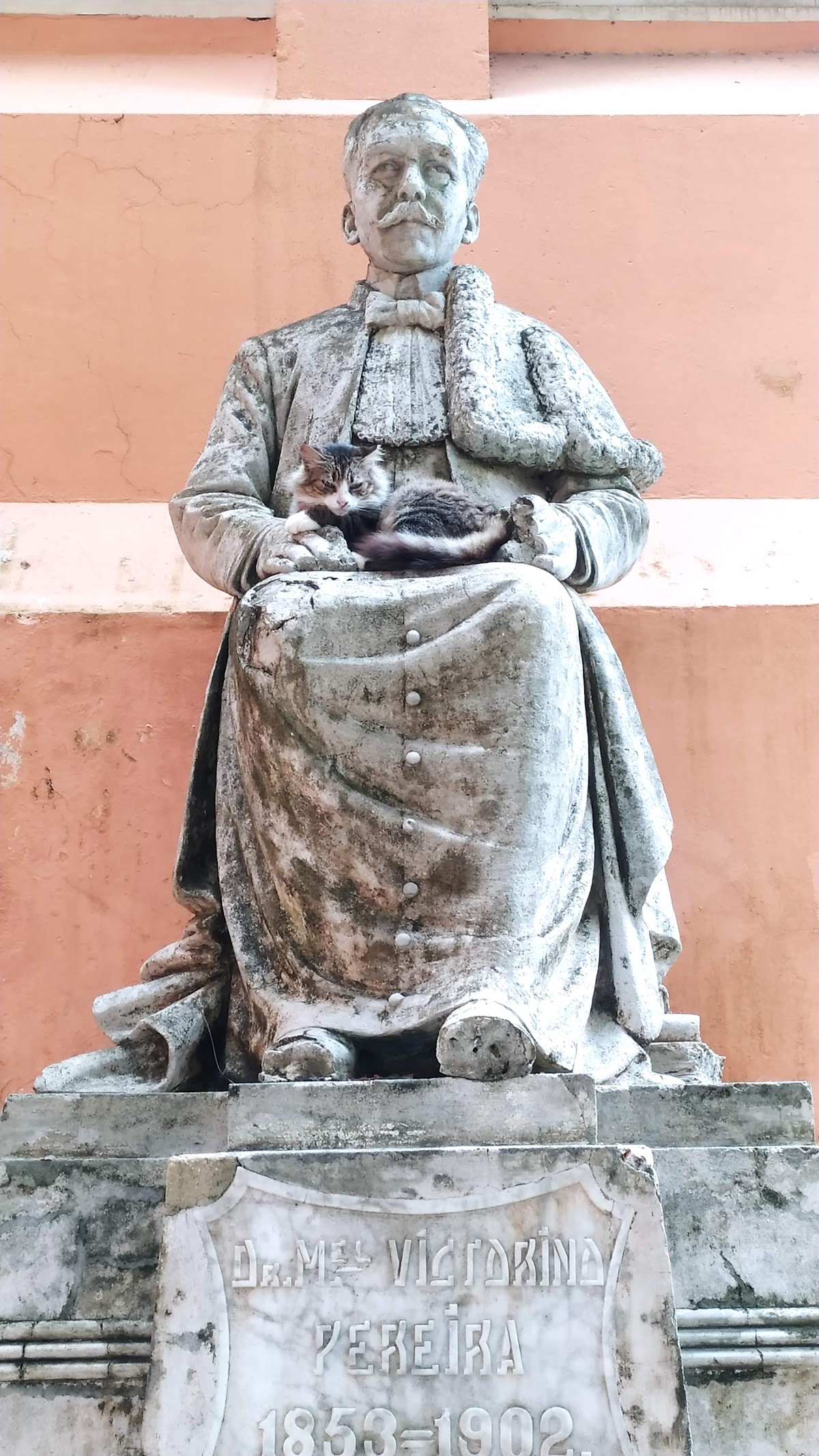 Memorial da Medicina Brasileira